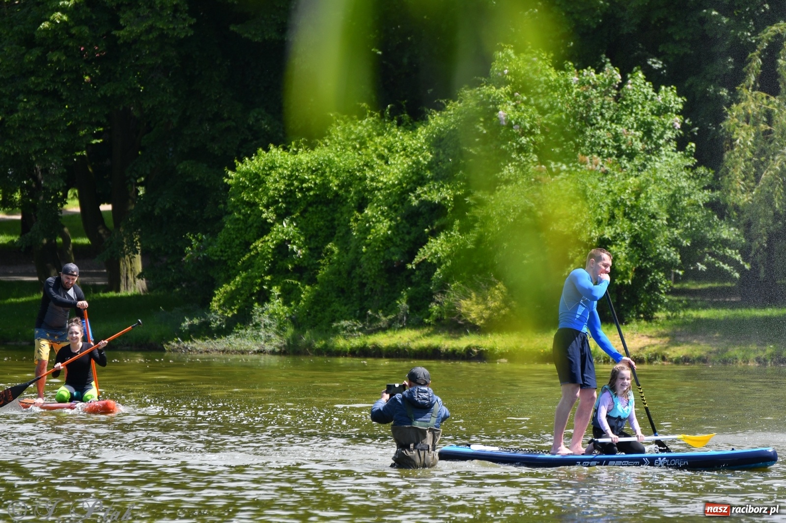 Zdjęcie w galerii na portalu naszraciborz.pl: Racibórz. Wielkie wiosłowanie w parku m. Roth wiadomości z regionu