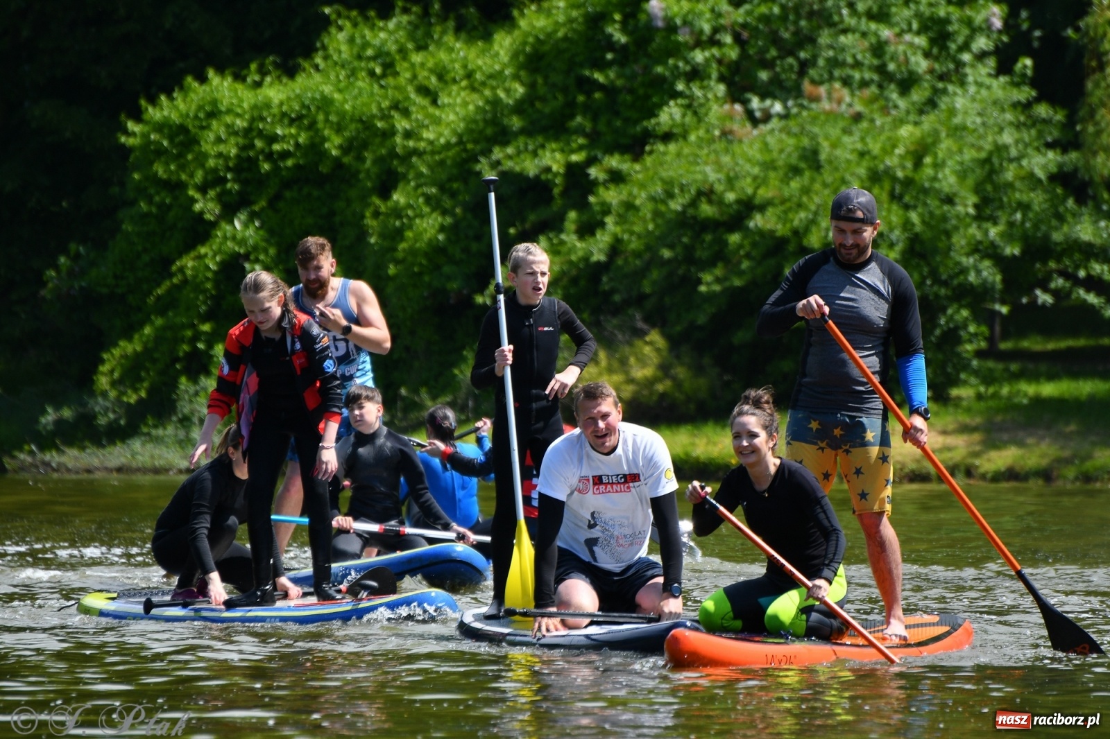 Zdjęcie w galerii na portalu naszraciborz.pl: Racibórz. Wielkie wiosłowanie w parku m. Roth wiadomości z regionu