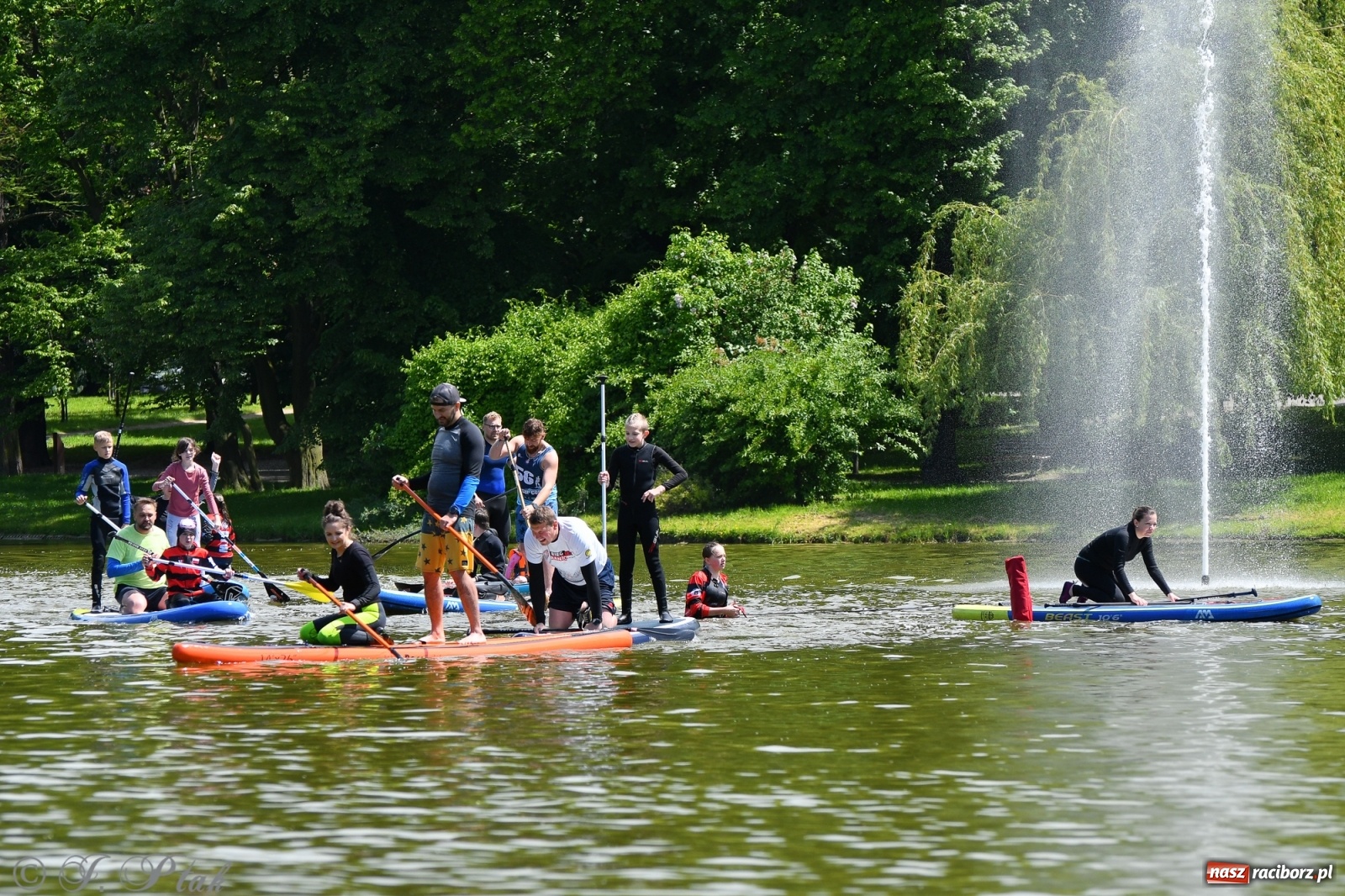 Zdjęcie w galerii na portalu naszraciborz.pl: Racibórz. Wielkie wiosłowanie w parku m. Roth wiadomości z regionu