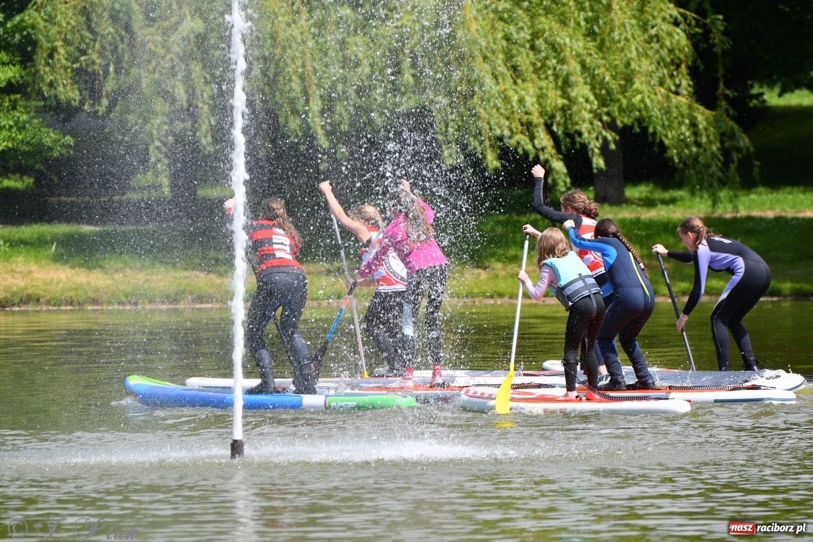 Zdjęcie w galerii na portalu naszraciborz.pl: Racibórz. Wielkie wiosłowanie w parku m. Roth wiadomości z regionu