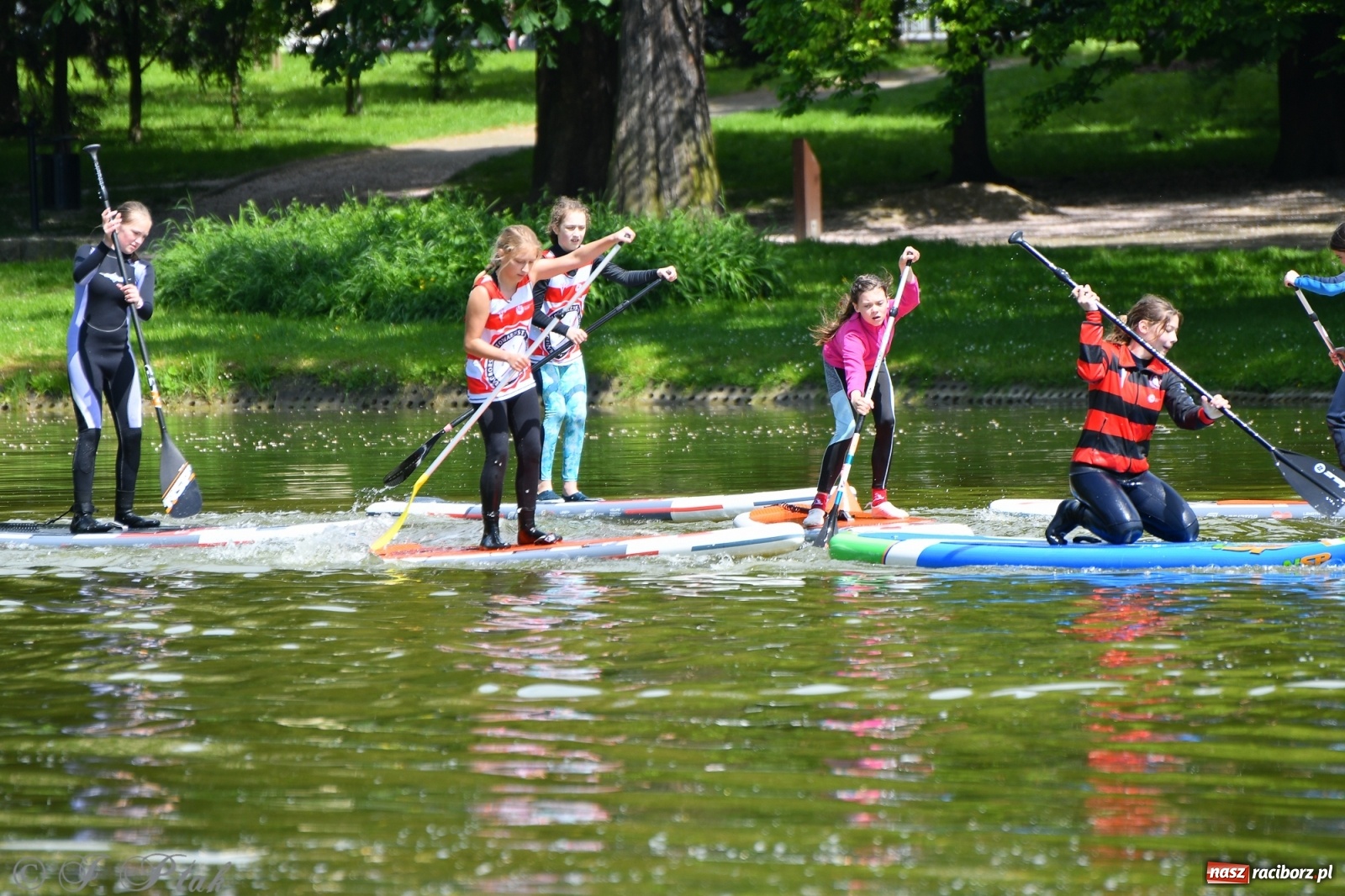 Zdjęcie w galerii na portalu naszraciborz.pl: Racibórz. Wielkie wiosłowanie w parku m. Roth wiadomości z regionu