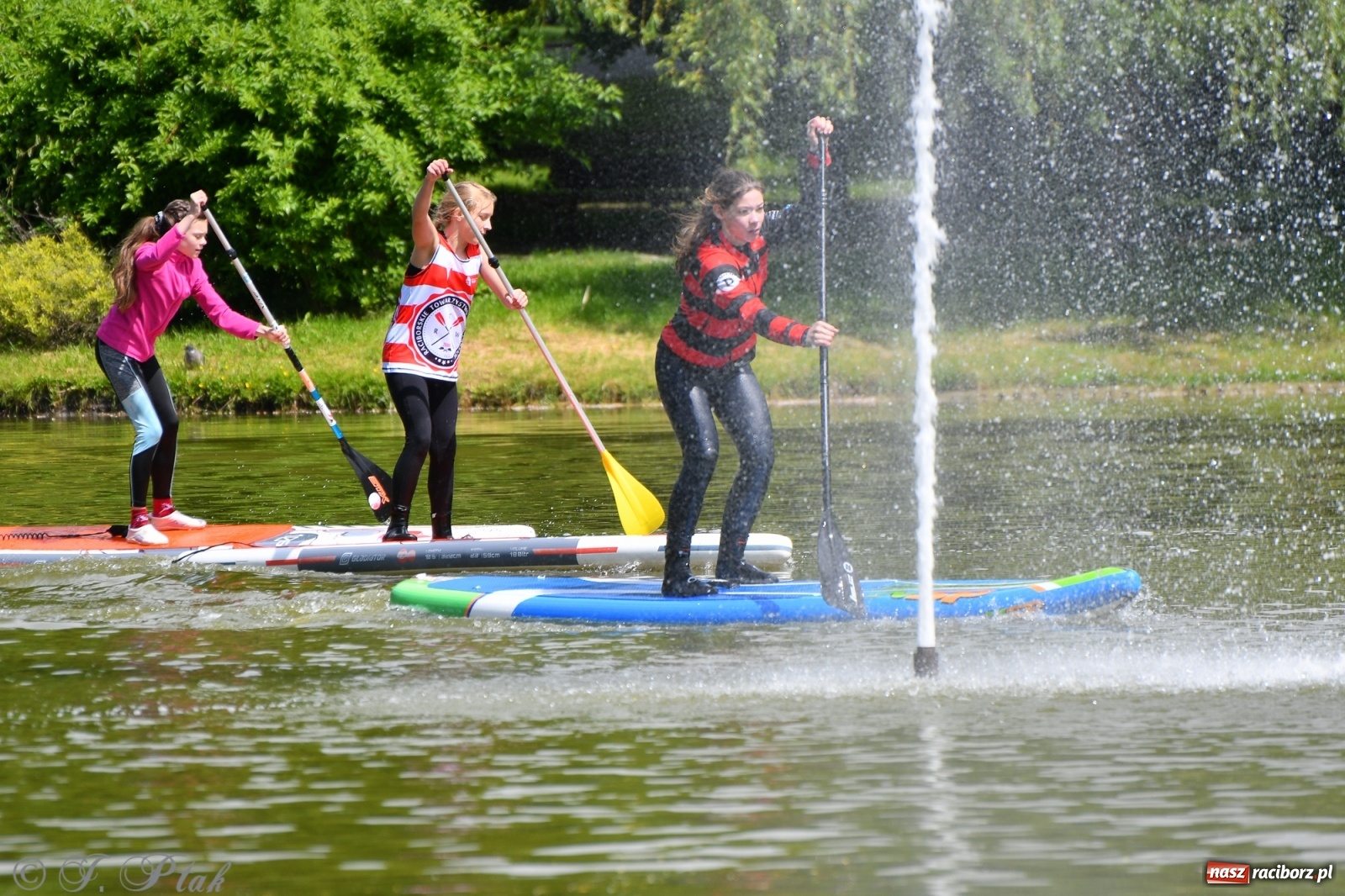 Zdjęcie w galerii na portalu naszraciborz.pl: Racibórz. Wielkie wiosłowanie w parku m. Roth wiadomości z regionu