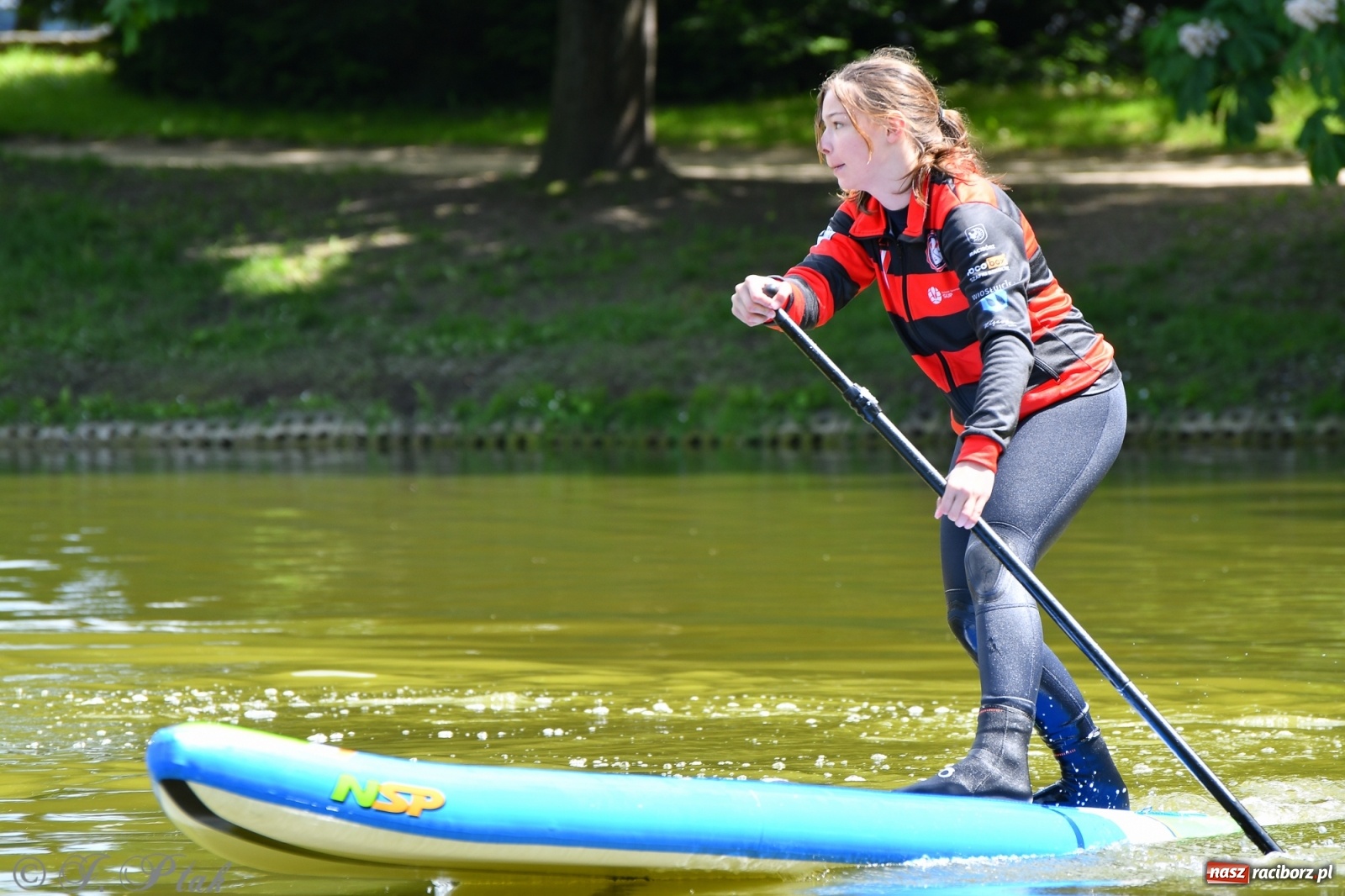 Zdjęcie w galerii na portalu naszraciborz.pl: Racibórz. Wielkie wiosłowanie w parku m. Roth wiadomości z regionu