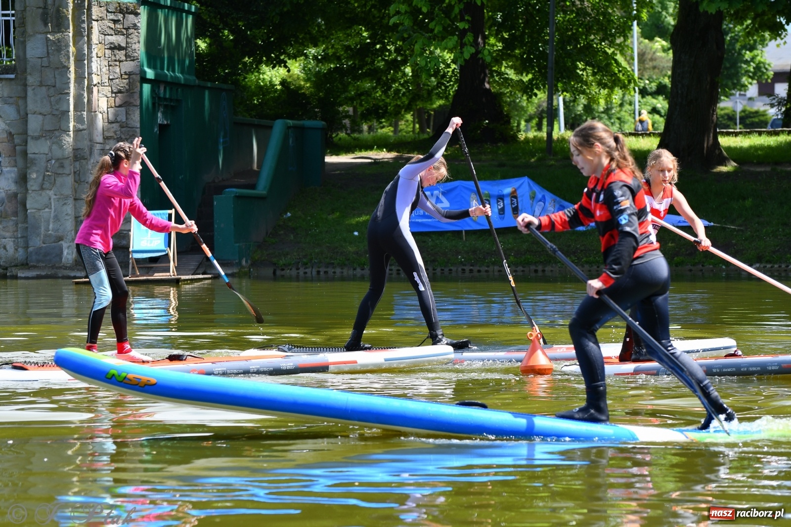 Zdjęcie w galerii na portalu naszraciborz.pl: Racibórz. Wielkie wiosłowanie w parku m. Roth wiadomości z regionu