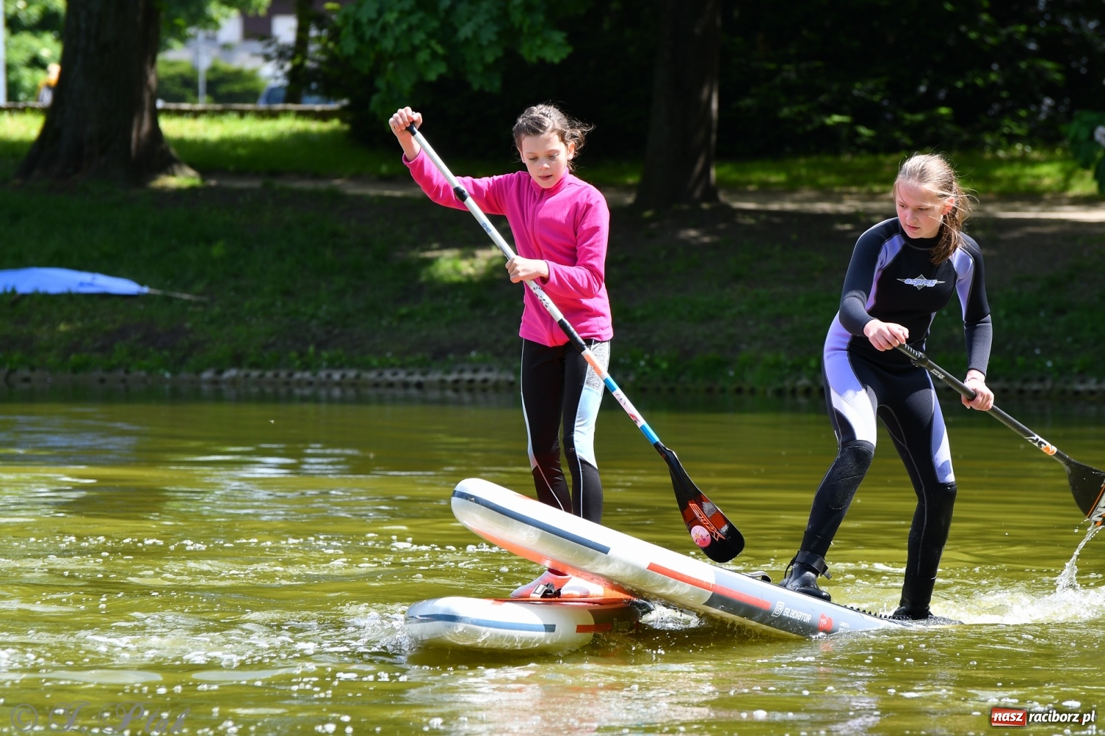 Zdjęcie w galerii na portalu naszraciborz.pl: Racibórz. Wielkie wiosłowanie w parku m. Roth wiadomości z regionu