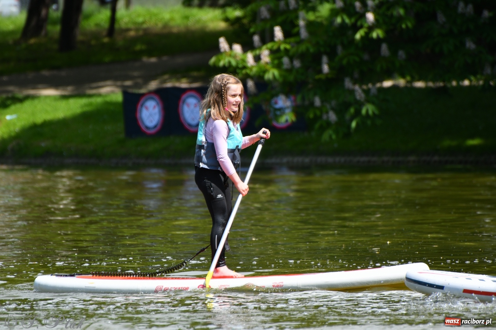Zdjęcie w galerii na portalu naszraciborz.pl: Racibórz. Wielkie wiosłowanie w parku m. Roth wiadomości z regionu
