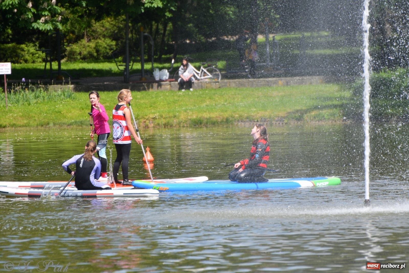 Zdjęcie w galerii na portalu naszraciborz.pl: Racibórz. Wielkie wiosłowanie w parku m. Roth wiadomości z regionu