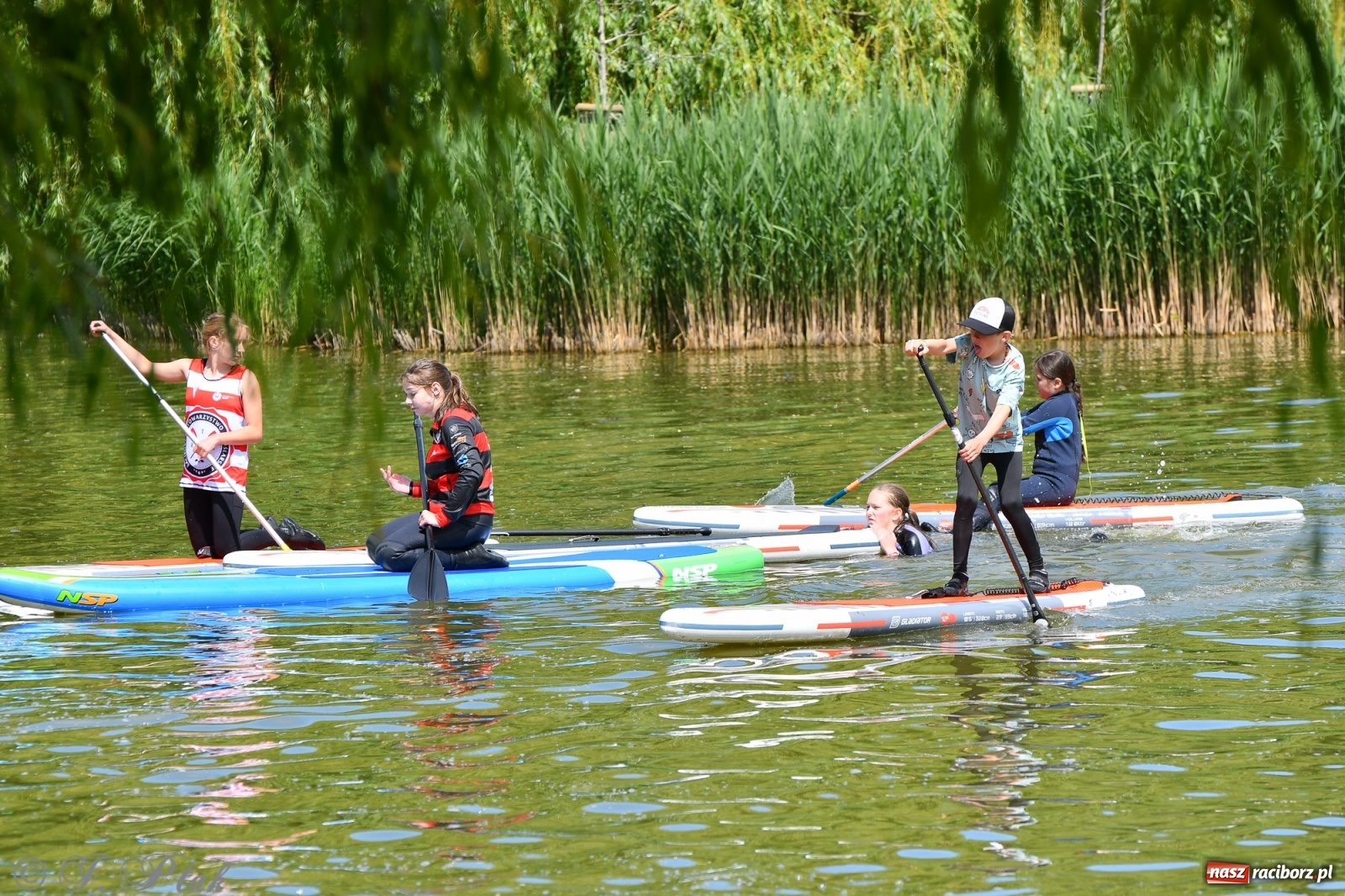 Zdjęcie w galerii na portalu naszraciborz.pl: Racibórz. Wielkie wiosłowanie w parku m. Roth wiadomości z regionu