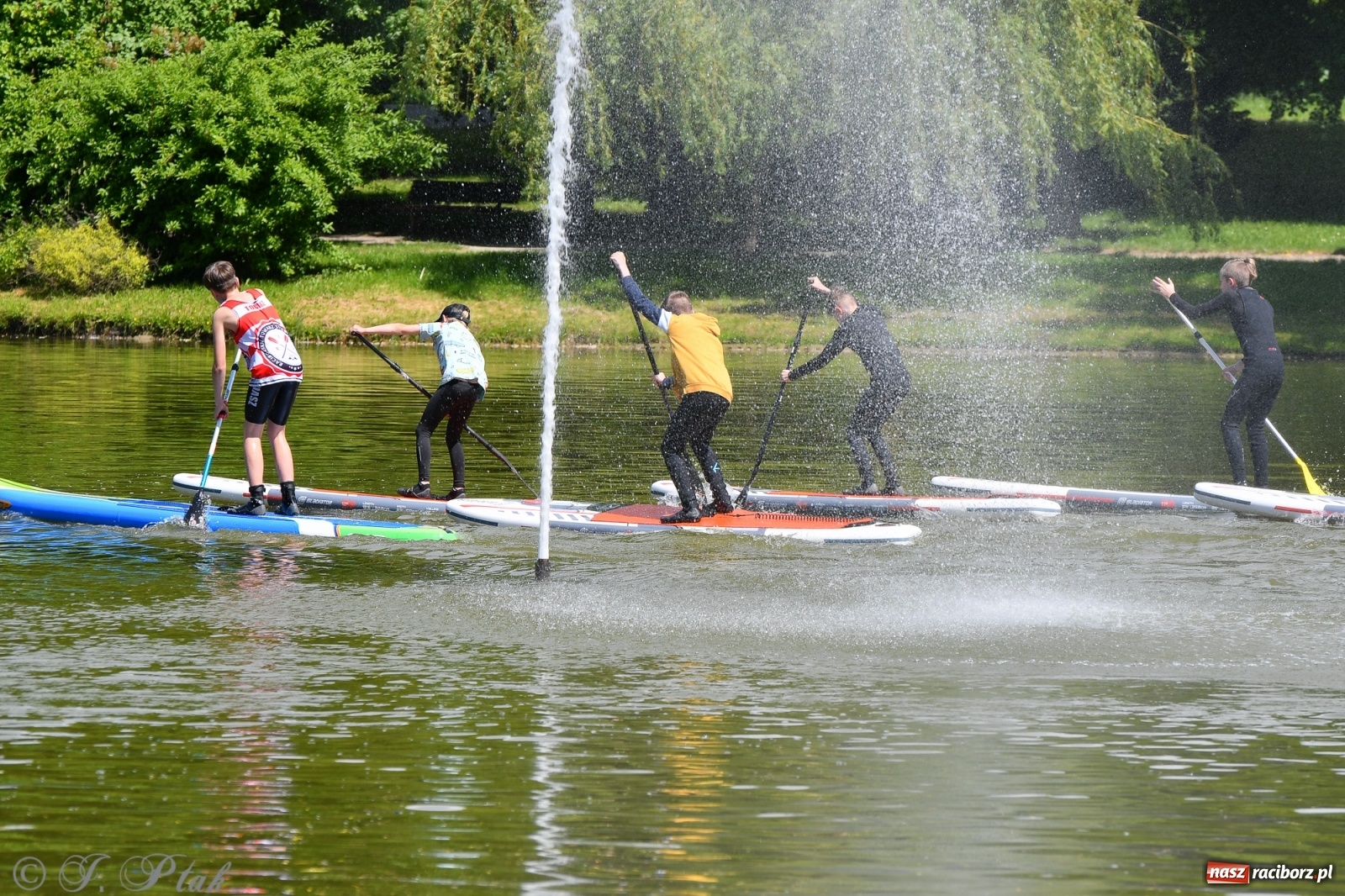 Zdjęcie w galerii na portalu naszraciborz.pl: Racibórz. Wielkie wiosłowanie w parku m. Roth wiadomości z regionu