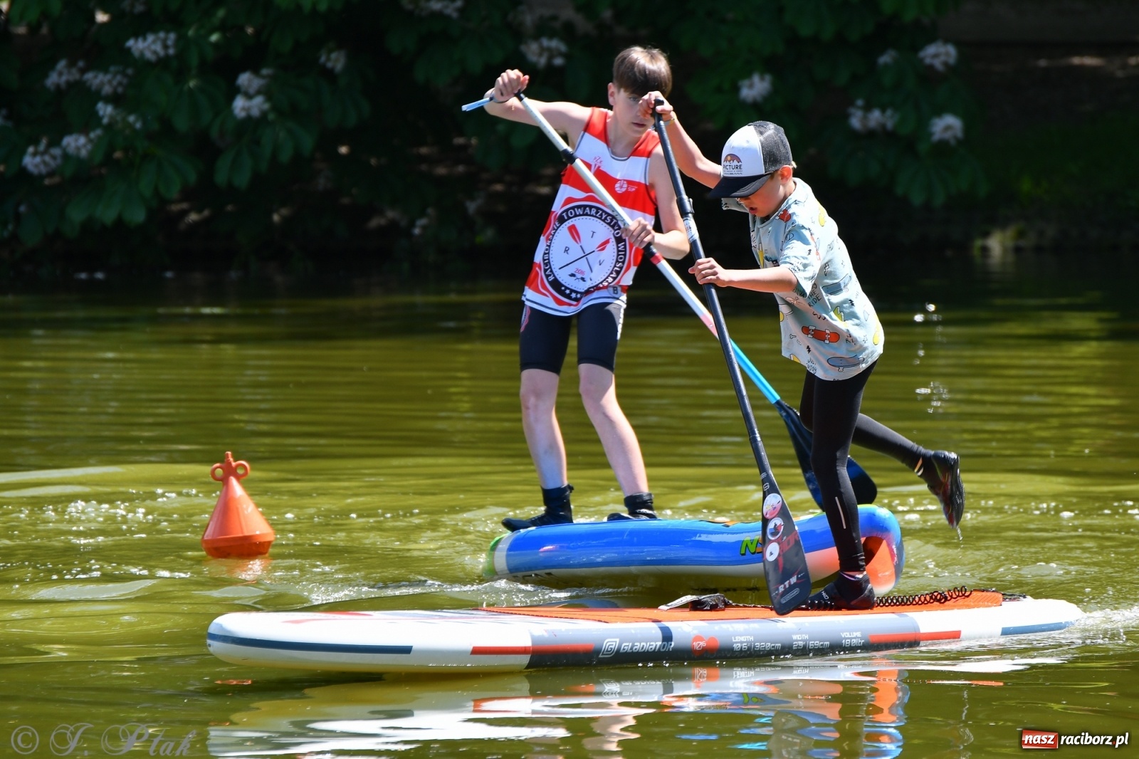 Zdjęcie w galerii na portalu naszraciborz.pl: Racibórz. Wielkie wiosłowanie w parku m. Roth wiadomości z regionu