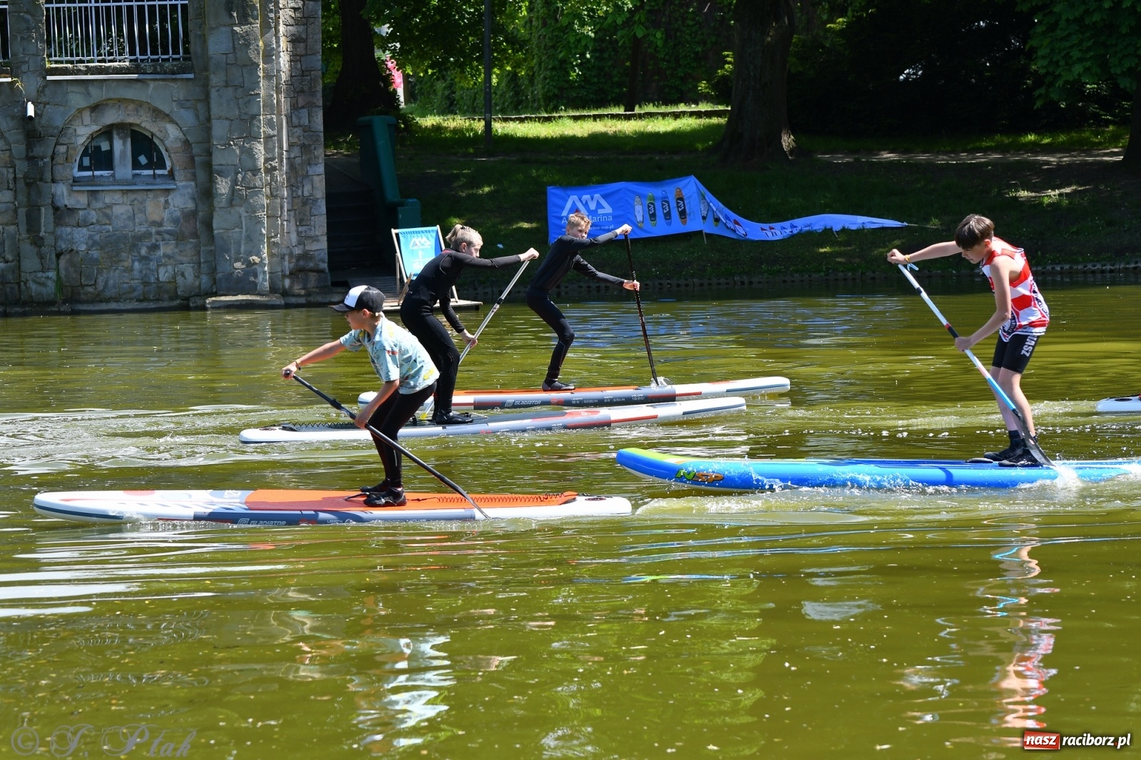 Zdjęcie w galerii na portalu naszraciborz.pl: Racibórz. Wielkie wiosłowanie w parku m. Roth wiadomości z regionu