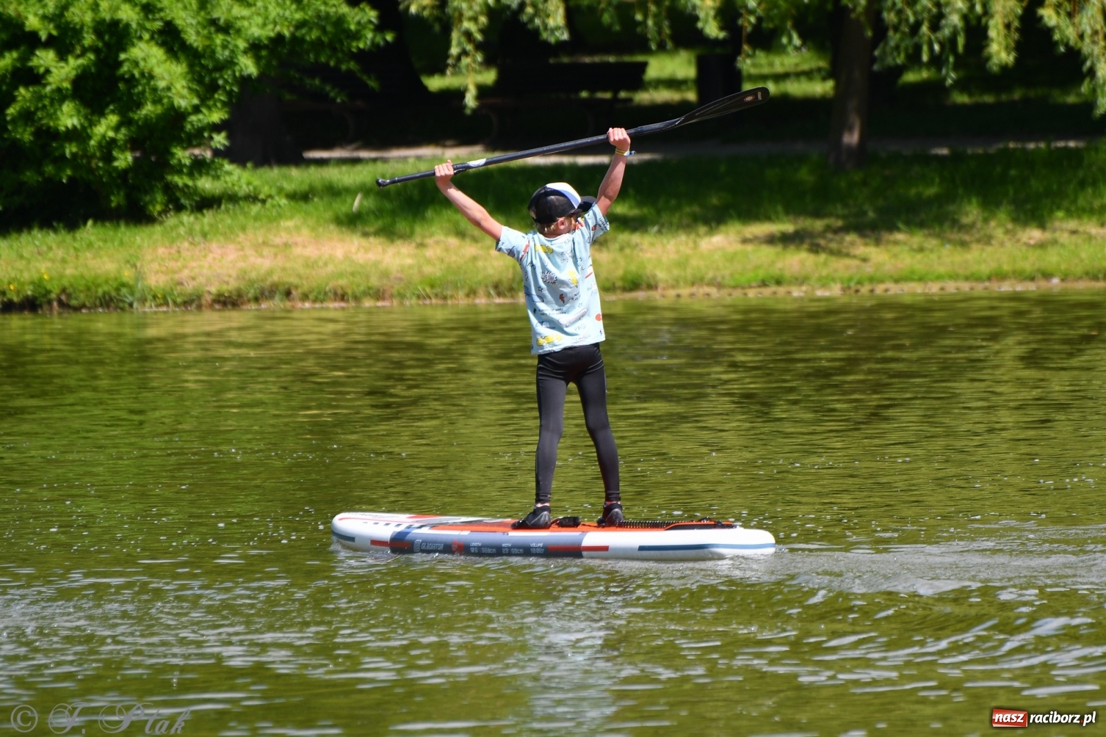 Zdjęcie w galerii na portalu naszraciborz.pl: Racibórz. Wielkie wiosłowanie w parku m. Roth wiadomości z regionu