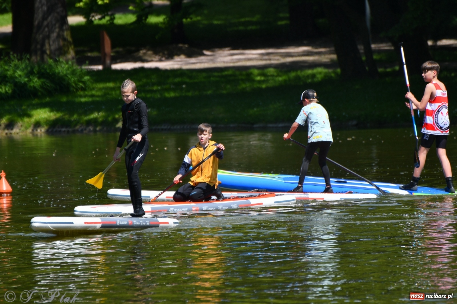 Zdjęcie w galerii na portalu naszraciborz.pl: Racibórz. Wielkie wiosłowanie w parku m. Roth wiadomości z regionu