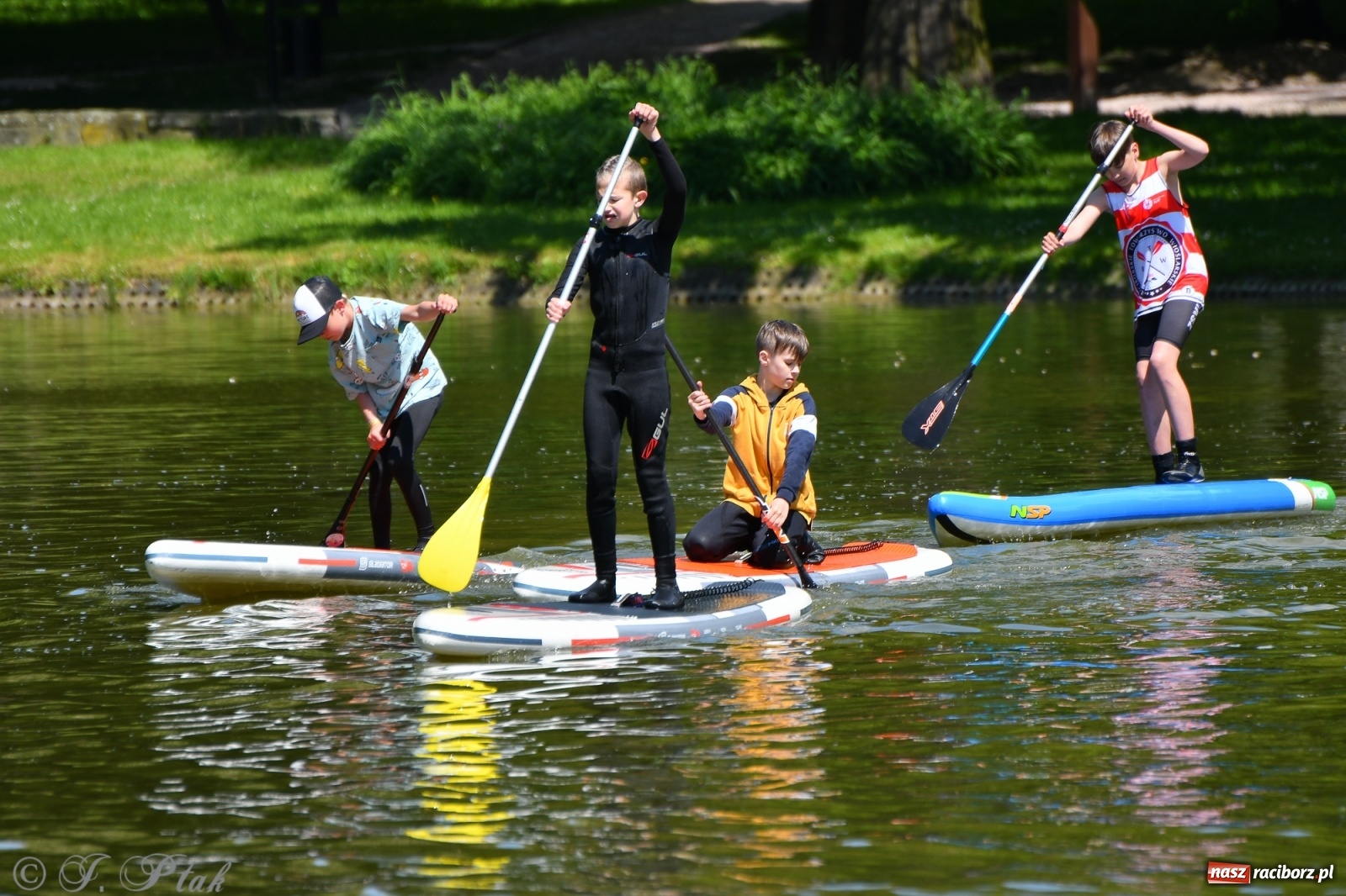 Zdjęcie w galerii na portalu naszraciborz.pl: Racibórz. Wielkie wiosłowanie w parku m. Roth wiadomości z regionu