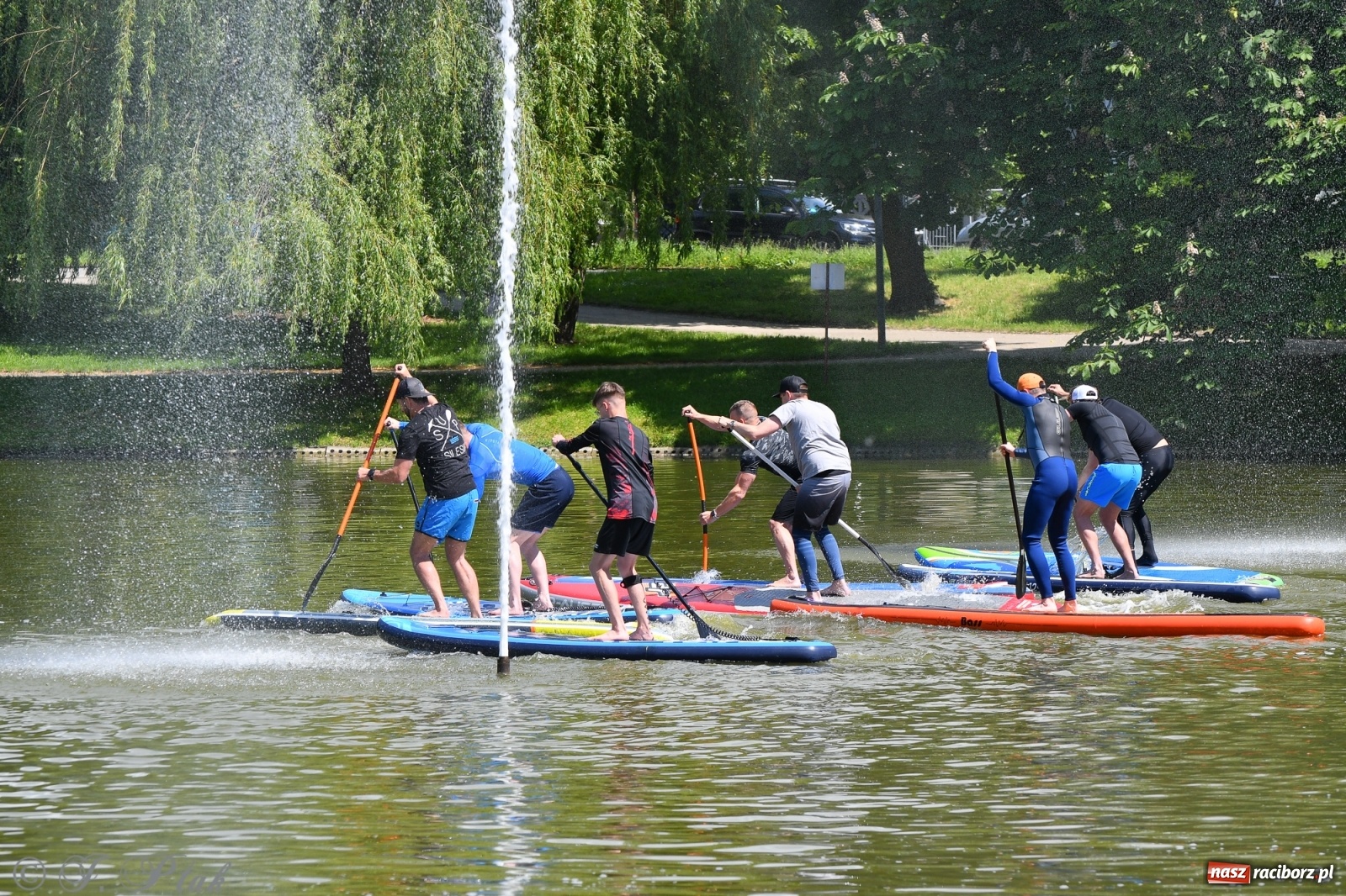 Zdjęcie w galerii na portalu naszraciborz.pl: Racibórz. Wielkie wiosłowanie w parku m. Roth wiadomości z regionu