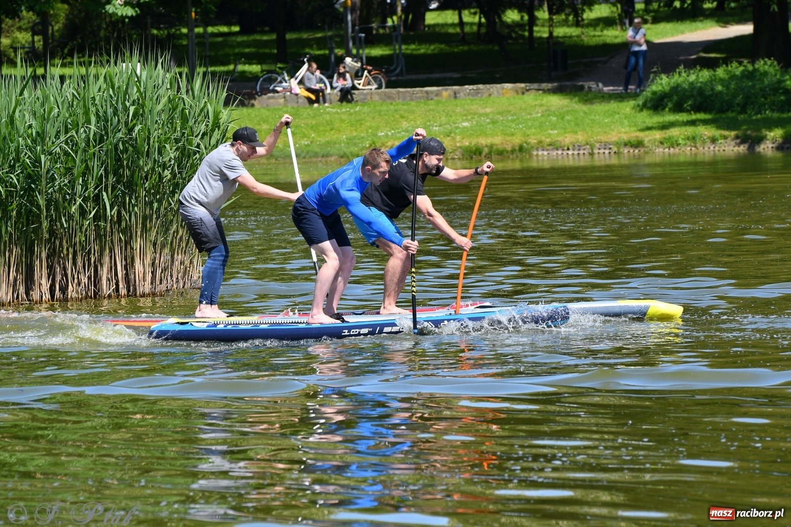Zdjęcie w galerii na portalu naszraciborz.pl: Racibórz. Wielkie wiosłowanie w parku m. Roth wiadomości z regionu