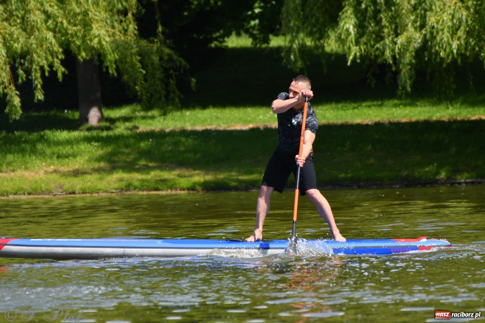 Zdjęcie w galerii na portalu naszraciborz.pl: Racibórz. Wielkie wiosłowanie w parku m. Roth wiadomości z regionu