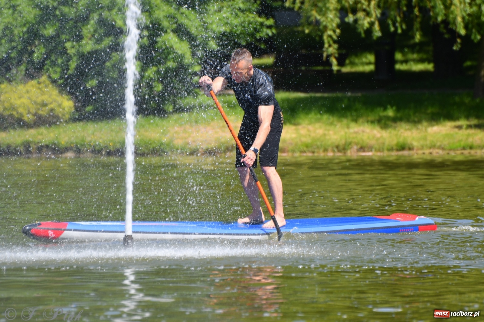 Zdjęcie w galerii na portalu naszraciborz.pl: Racibórz. Wielkie wiosłowanie w parku m. Roth wiadomości z regionu