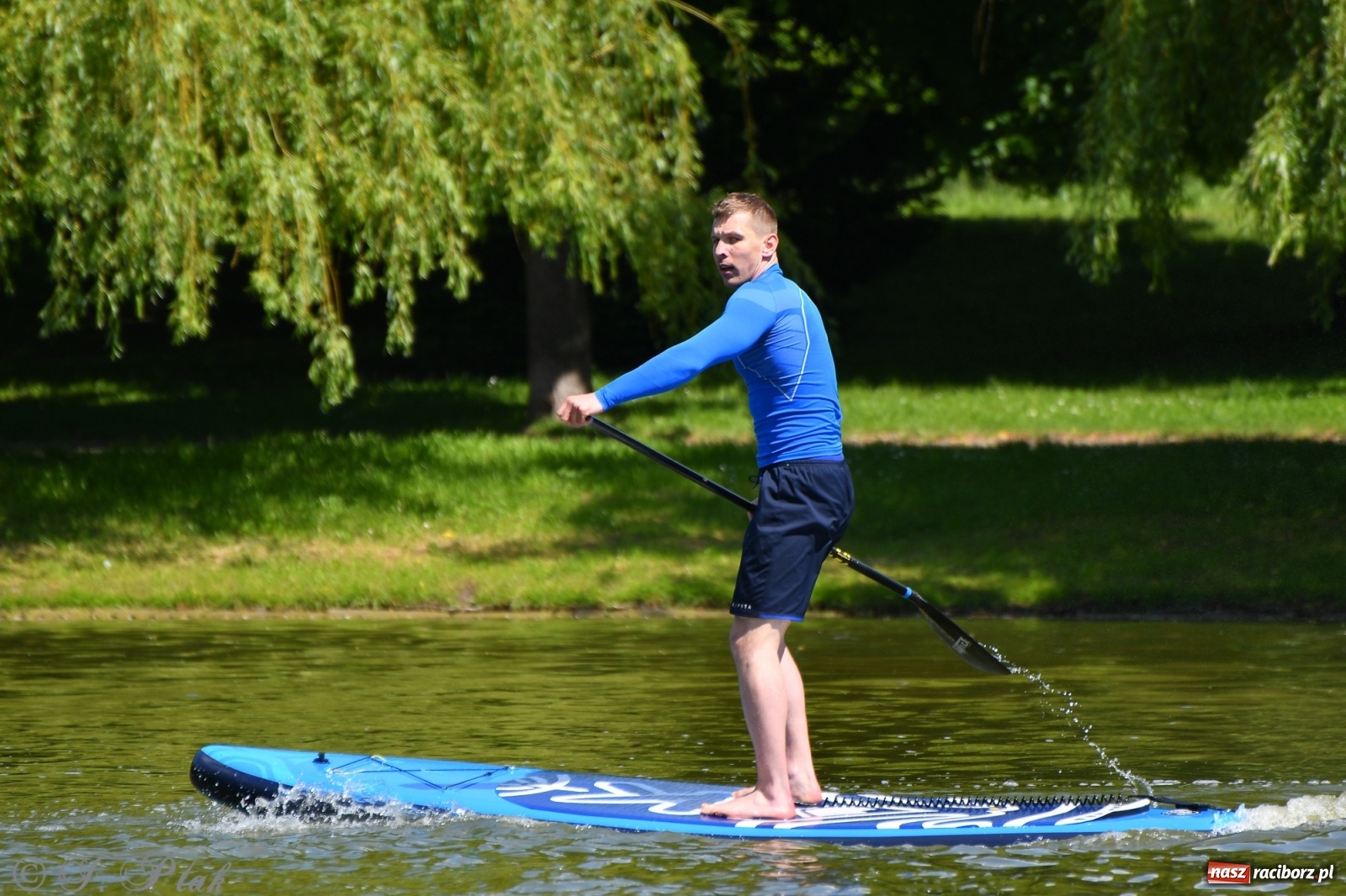 Zdjęcie w galerii na portalu naszraciborz.pl: Racibórz. Wielkie wiosłowanie w parku m. Roth wiadomości z regionu