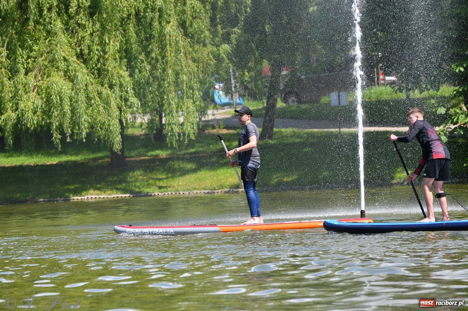 Zdjęcie w galerii na portalu naszraciborz.pl: Racibórz. Wielkie wiosłowanie w parku m. Roth wiadomości z regionu