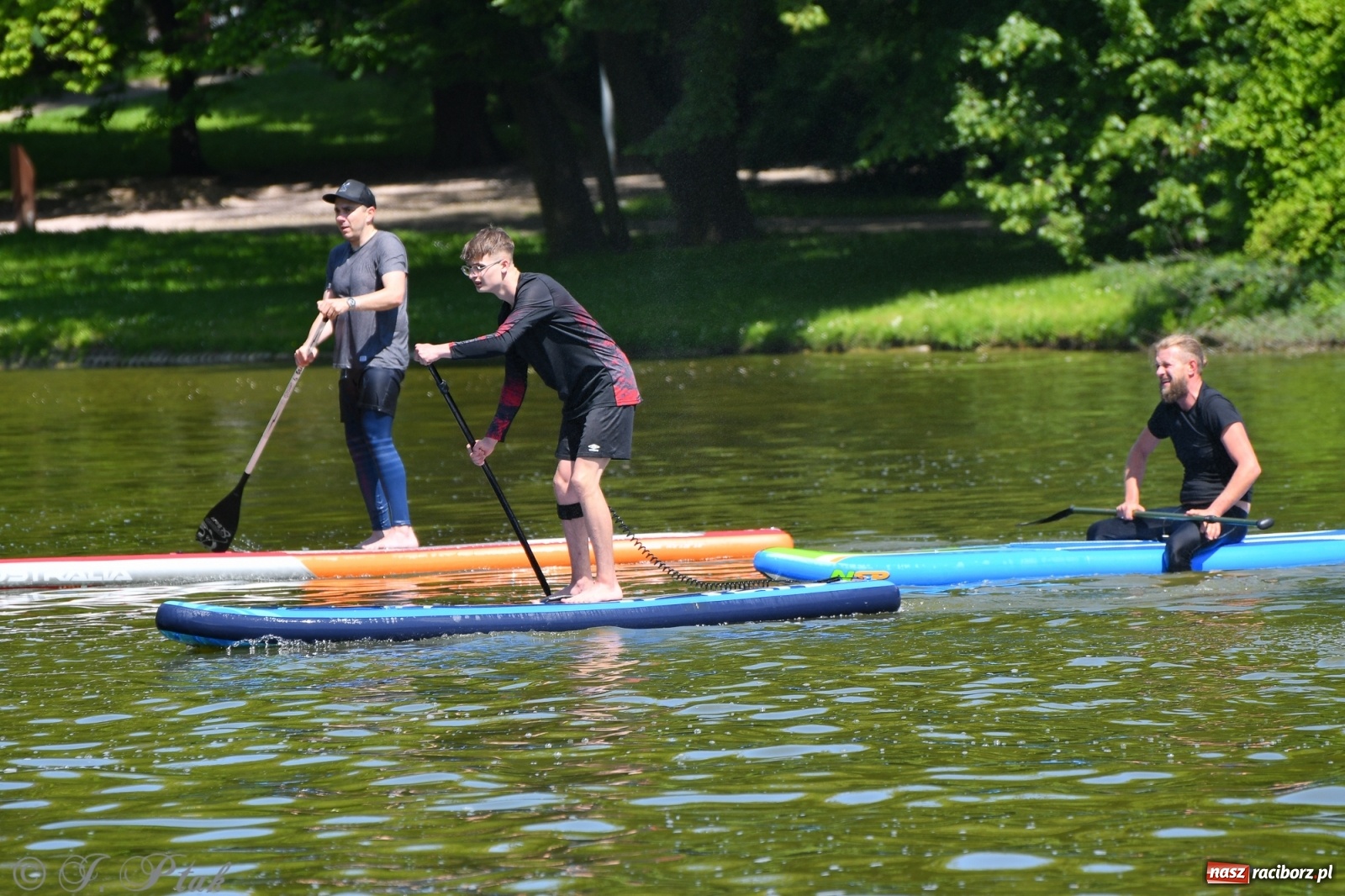 Zdjęcie w galerii na portalu naszraciborz.pl: Racibórz. Wielkie wiosłowanie w parku m. Roth wiadomości z regionu