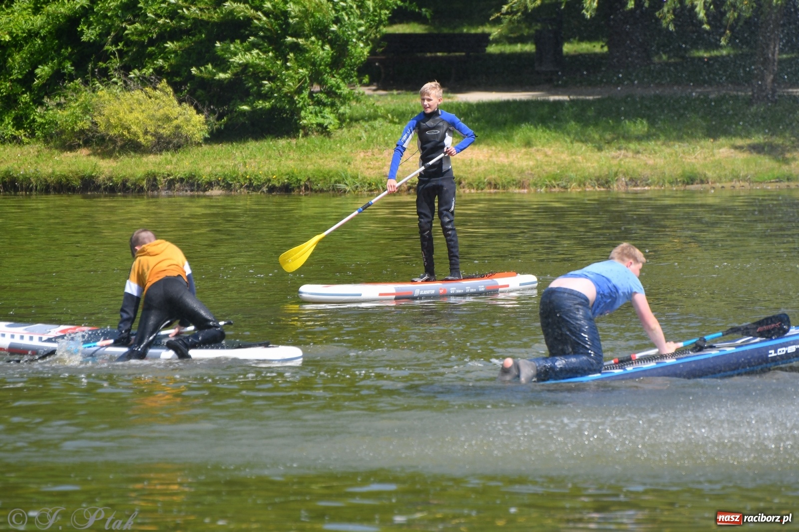 Zdjęcie w galerii na portalu naszraciborz.pl: Racibórz. Wielkie wiosłowanie w parku m. Roth wiadomości z regionu