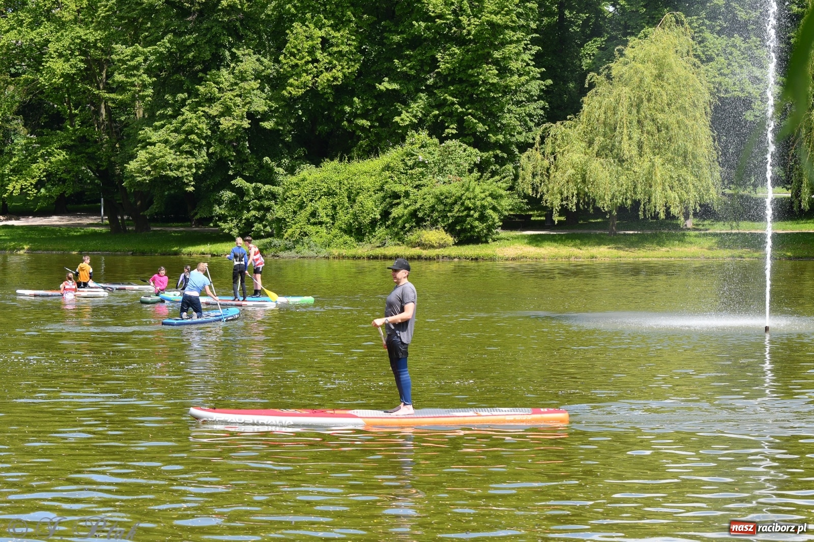 Zdjęcie w galerii na portalu naszraciborz.pl: Racibórz. Wielkie wiosłowanie w parku m. Roth wiadomości z regionu