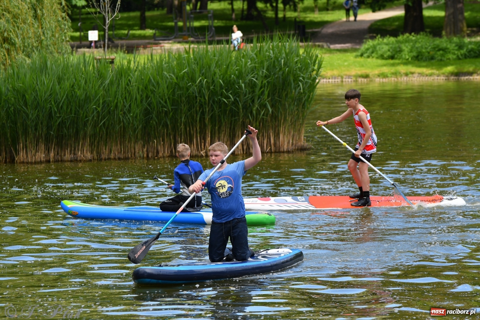 Zdjęcie w galerii na portalu naszraciborz.pl: Racibórz. Wielkie wiosłowanie w parku m. Roth wiadomości z regionu
