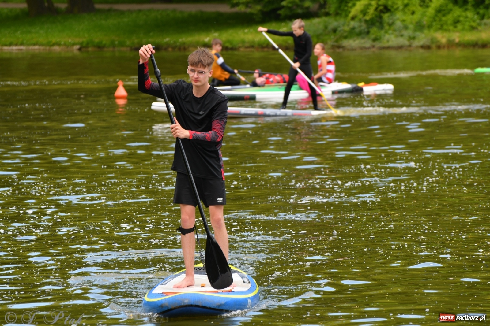 Zdjęcie w galerii na portalu naszraciborz.pl: Racibórz. Wielkie wiosłowanie w parku m. Roth wiadomości z regionu