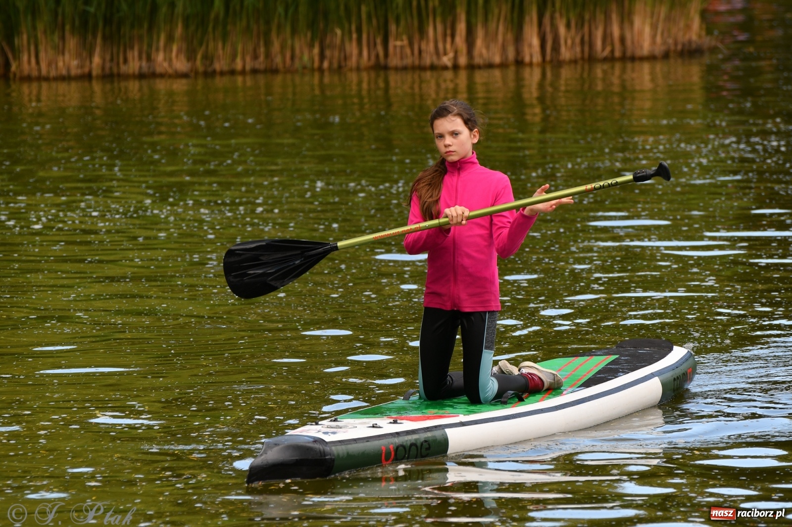 Zdjęcie w galerii na portalu naszraciborz.pl: Racibórz. Wielkie wiosłowanie w parku m. Roth wiadomości z regionu