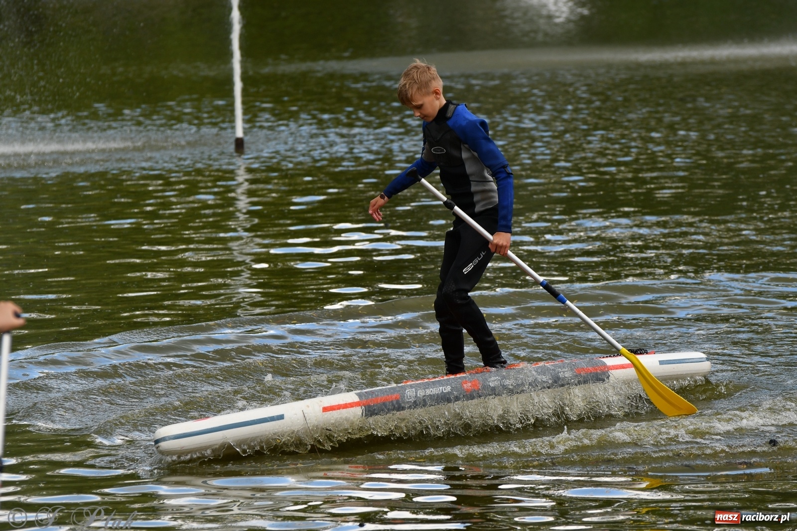 Zdjęcie w galerii na portalu naszraciborz.pl: Racibórz. Wielkie wiosłowanie w parku m. Roth wiadomości z regionu
