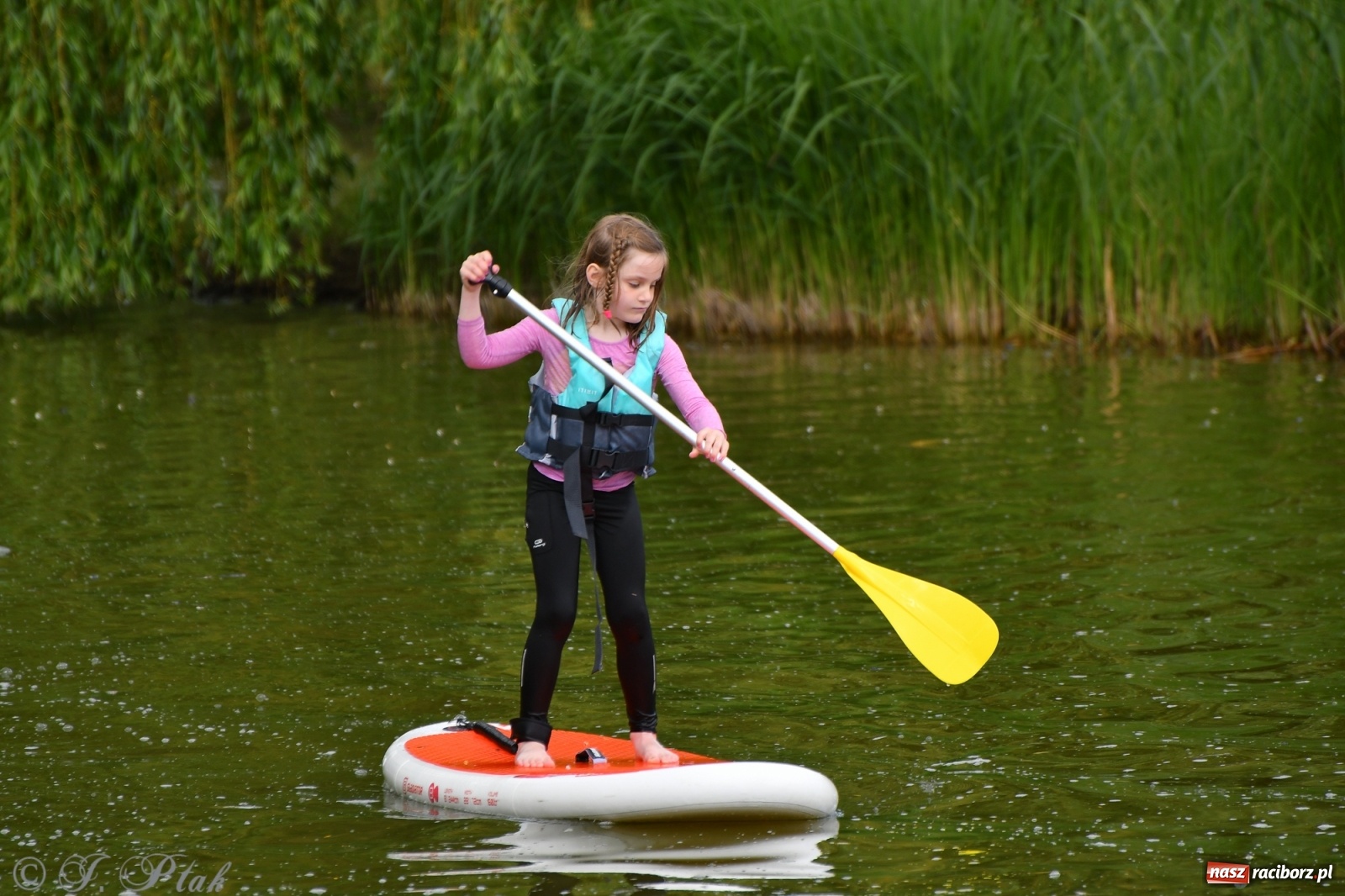 Zdjęcie w galerii na portalu naszraciborz.pl: Racibórz. Wielkie wiosłowanie w parku m. Roth wiadomości z regionu