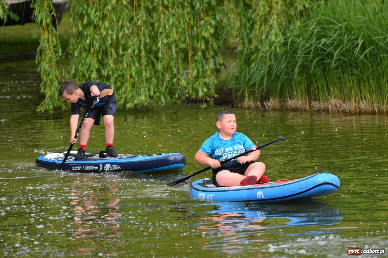 Zdjęcie w galerii na portalu naszraciborz.pl: Racibórz. Wielkie wiosłowanie w parku m. Roth wiadomości z regionu