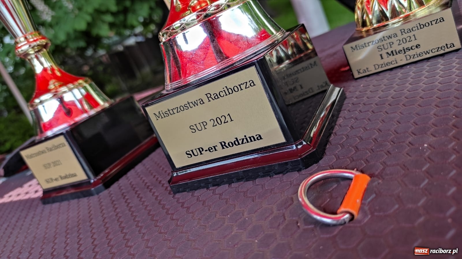 Zdjęcie w galerii na portalu naszraciborz.pl: Racibórz. Wielkie wiosłowanie w parku m. Roth wiadomości z regionu