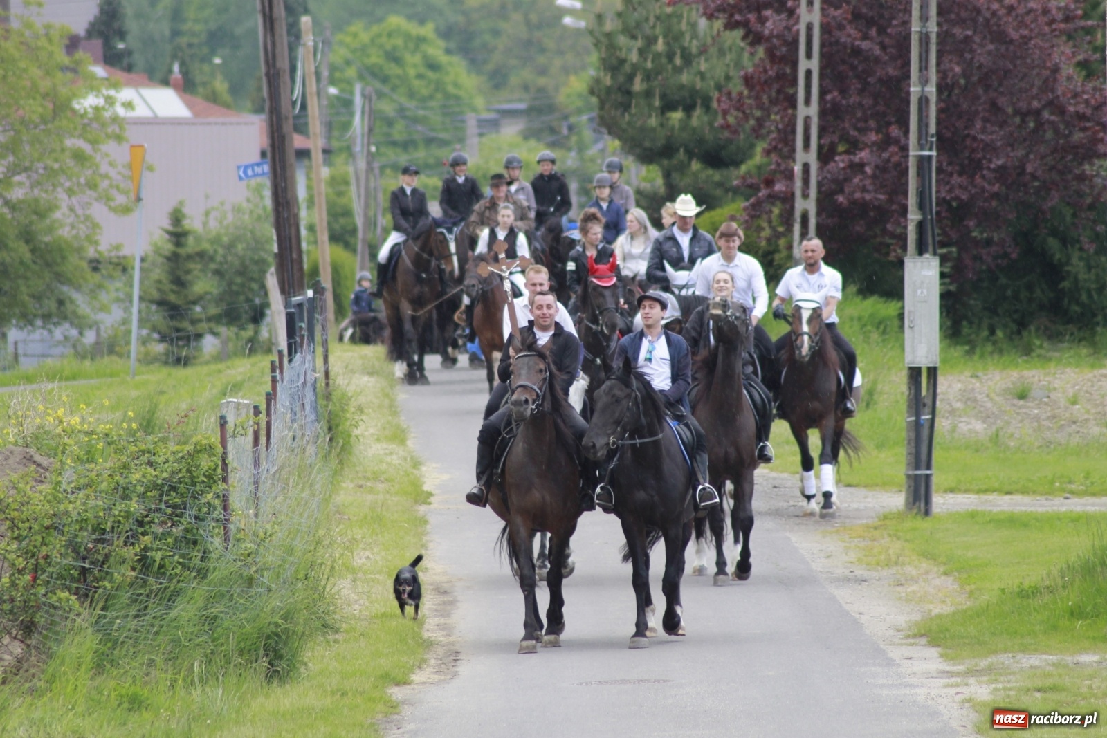 Zdjęcie w galerii na portalu naszraciborz.pl: Brzeska procesja na św. Urbana [FOTO i WIDEO] wiadomości z regionu