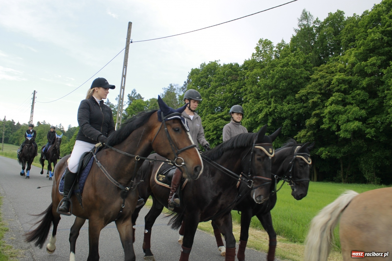 Zdjęcie w galerii na portalu naszraciborz.pl: Brzeska procesja na św. Urbana [FOTO i WIDEO] wiadomości z regionu