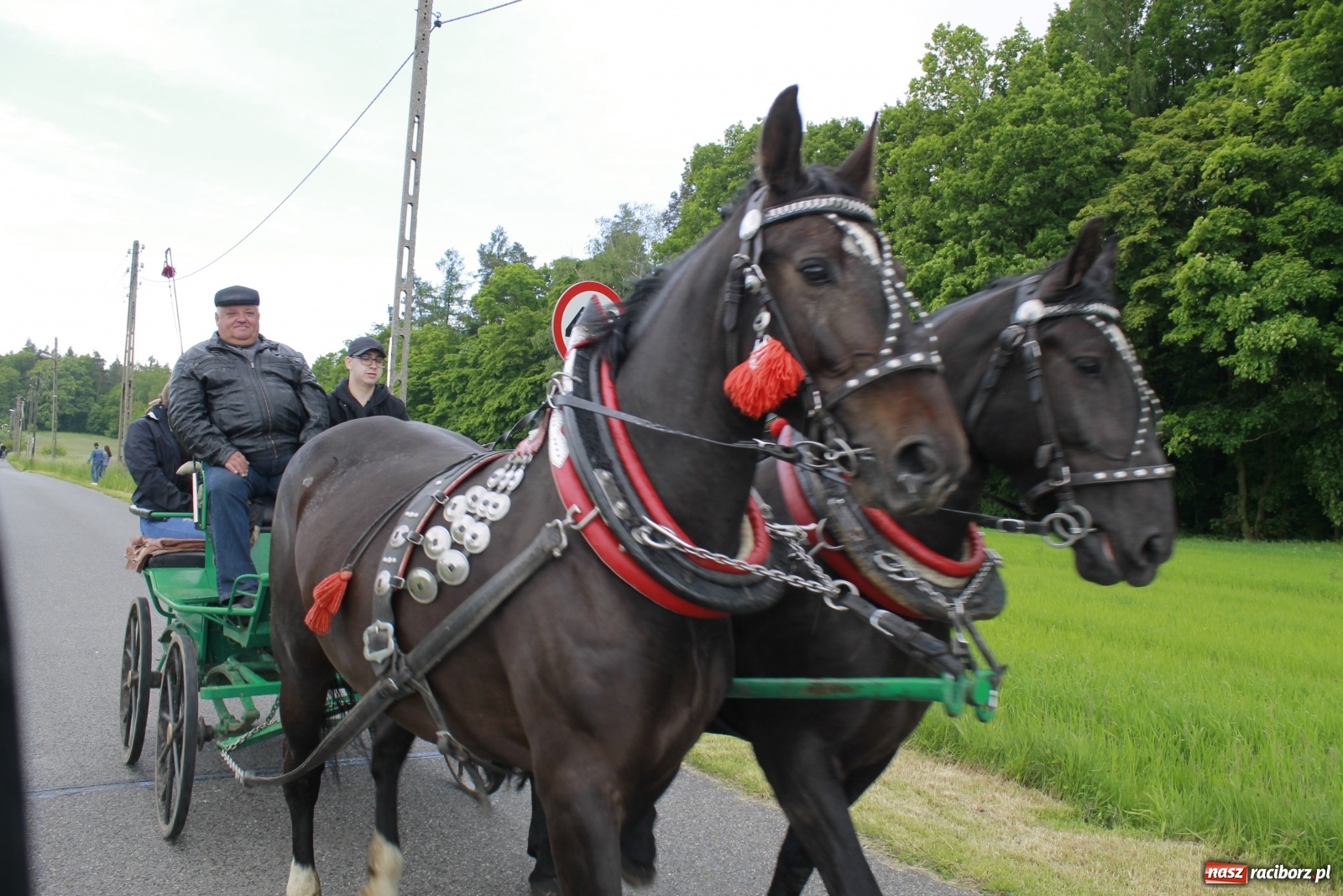 Zdjęcie w galerii na portalu naszraciborz.pl: Brzeska procesja na św. Urbana [FOTO i WIDEO] wiadomości z regionu