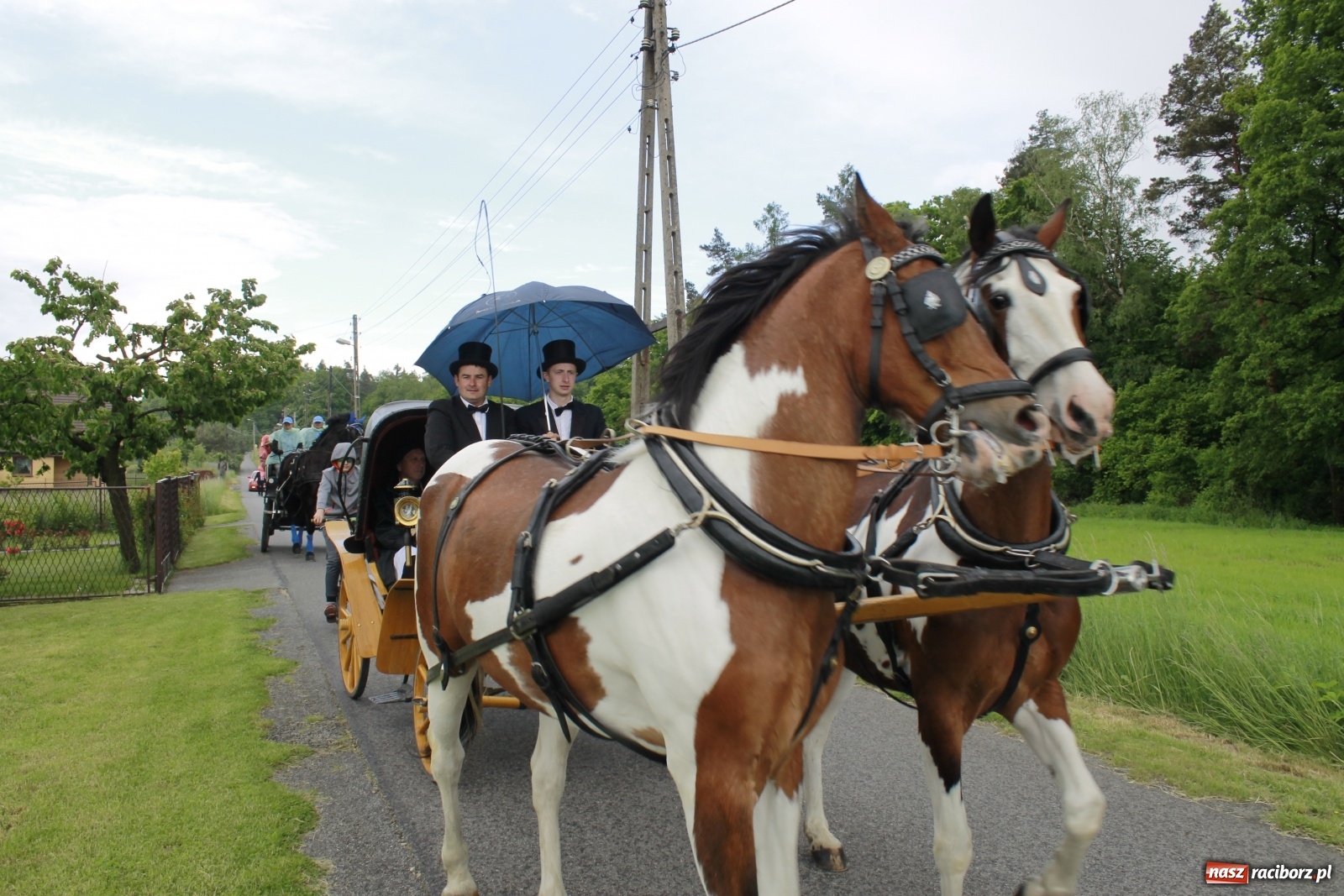 Zdjęcie w galerii na portalu naszraciborz.pl: Brzeska procesja na św. Urbana [FOTO i WIDEO] wiadomości z regionu