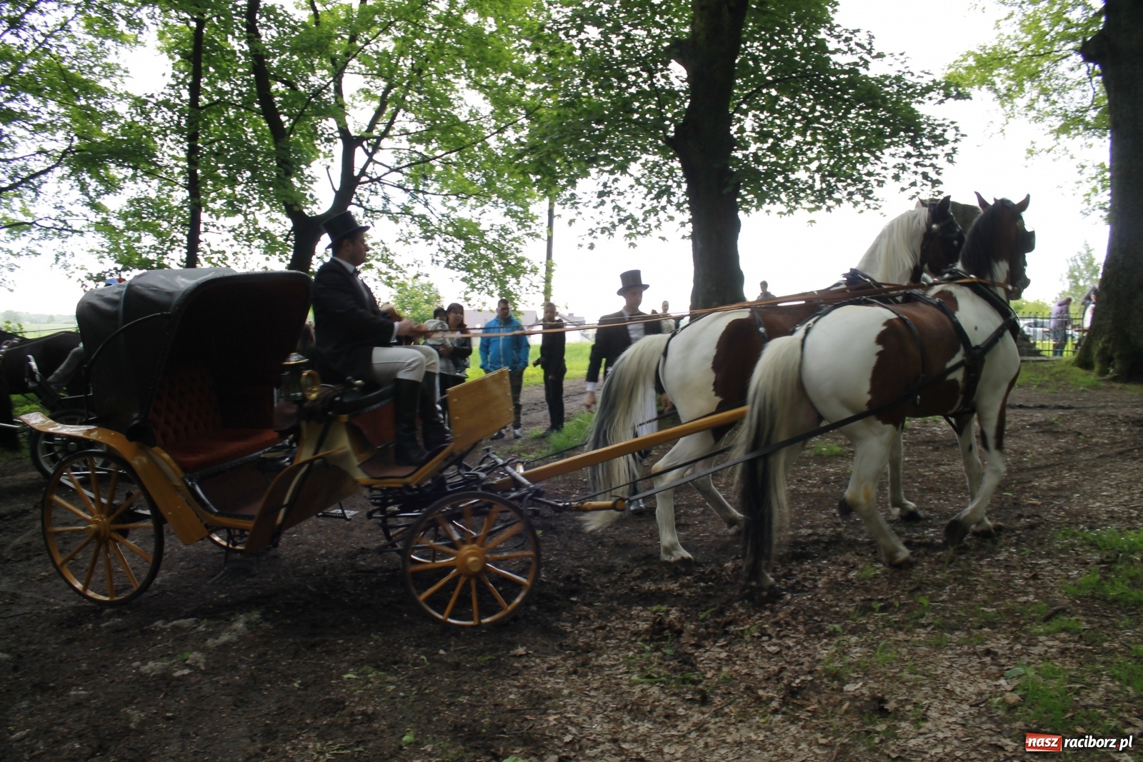 Zdjęcie w galerii na portalu naszraciborz.pl: Brzeska procesja na św. Urbana [FOTO i WIDEO] wiadomości z regionu