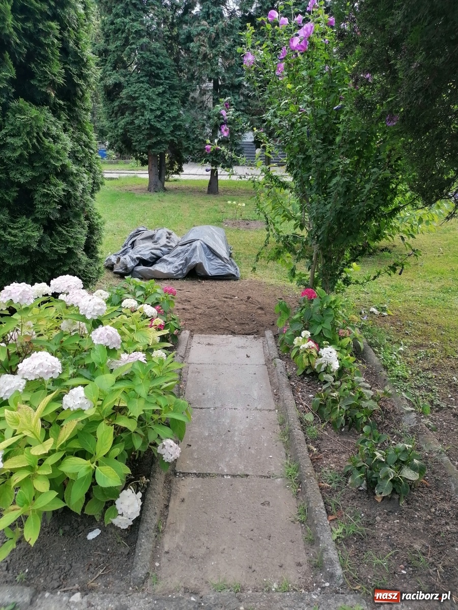 Zdjęcie w galerii na portalu naszraciborz.pl: Przy kościele NSPJ poświęcono nową figurę św. Jana Nepomucena wiadomości z regionu