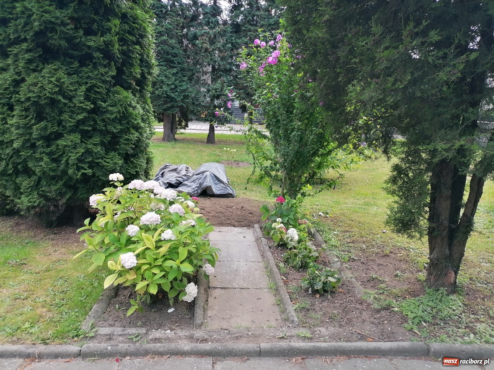 Zdjęcie w galerii na portalu naszraciborz.pl: Przy kościele NSPJ poświęcono nową figurę św. Jana Nepomucena wiadomości z regionu