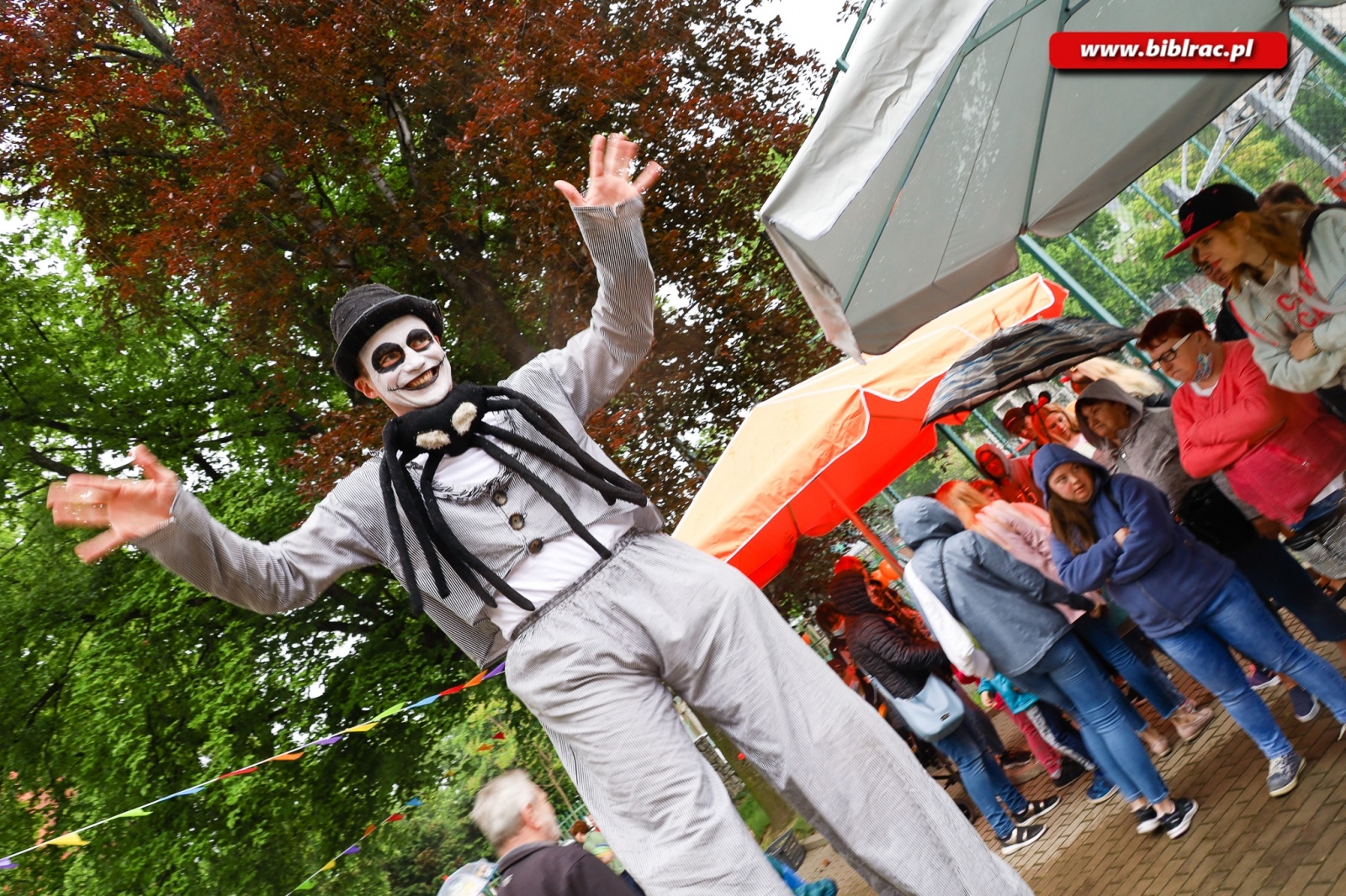 Zdjęcie w galerii na portalu naszraciborz.pl: Raciborzanie bawili się na II Pikniku Integracyjnym wiadomości z regionu