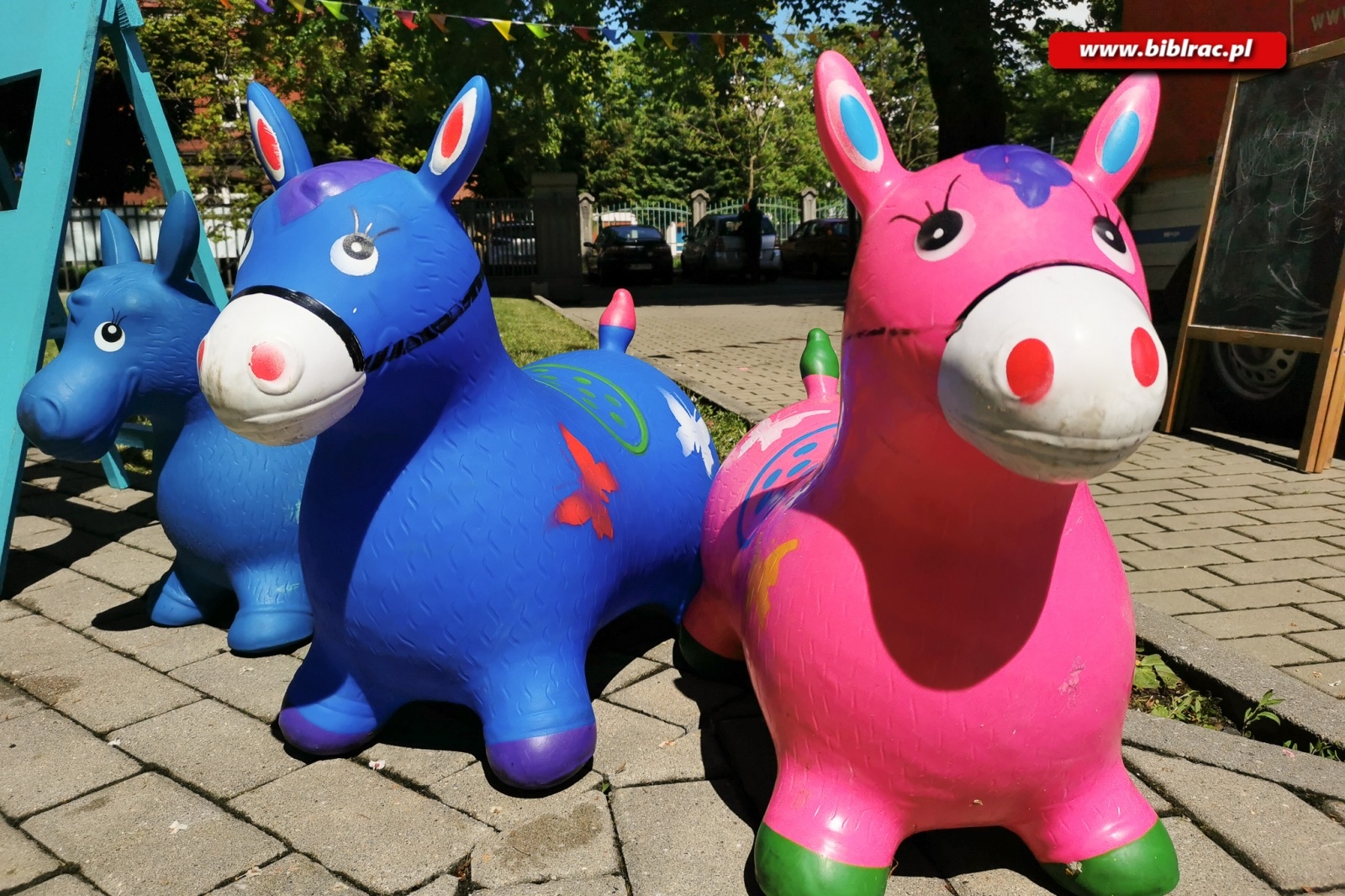 Zdjęcie w galerii na portalu naszraciborz.pl: Raciborzanie bawili się na II Pikniku Integracyjnym wiadomości z regionu