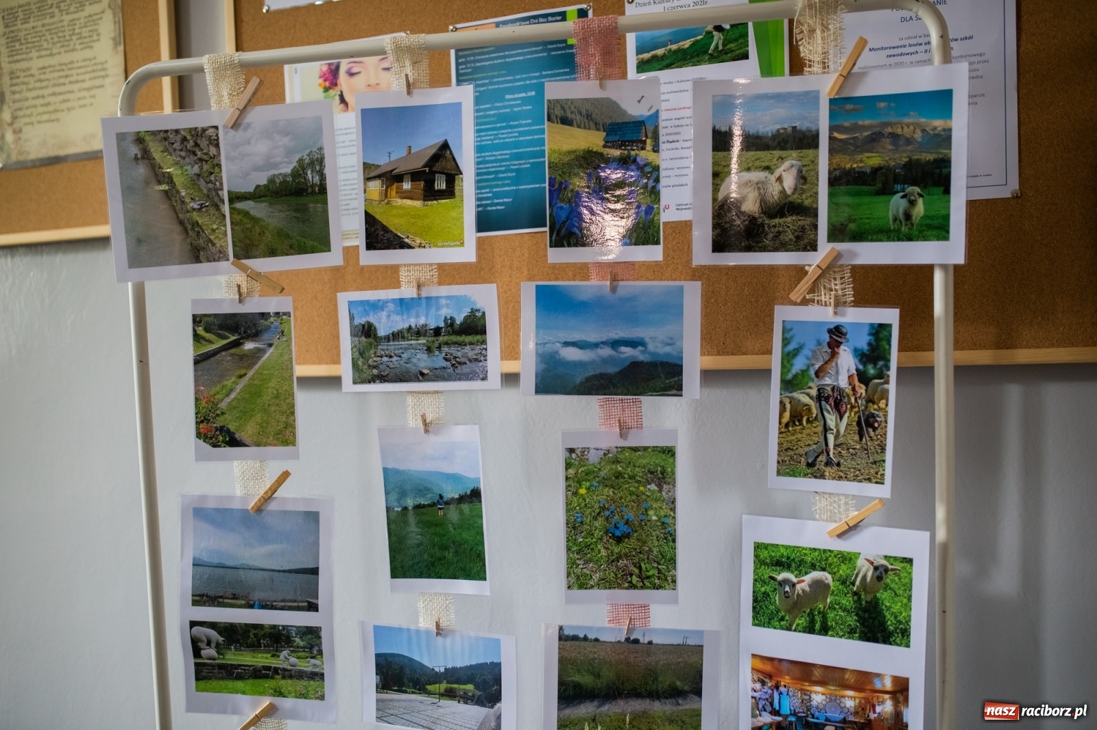 Zdjęcie w galerii na portalu naszraciborz.pl: Dzień kultury góralskiej w raciborskim Medyku [FOTO i WIDEO] wiadomości z regionu
