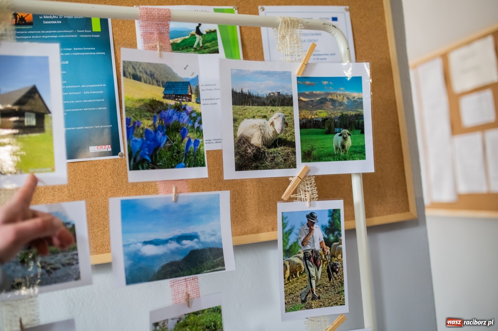 Zdjęcie w galerii na portalu naszraciborz.pl: Dzień kultury góralskiej w raciborskim Medyku [FOTO i WIDEO] wiadomości z regionu