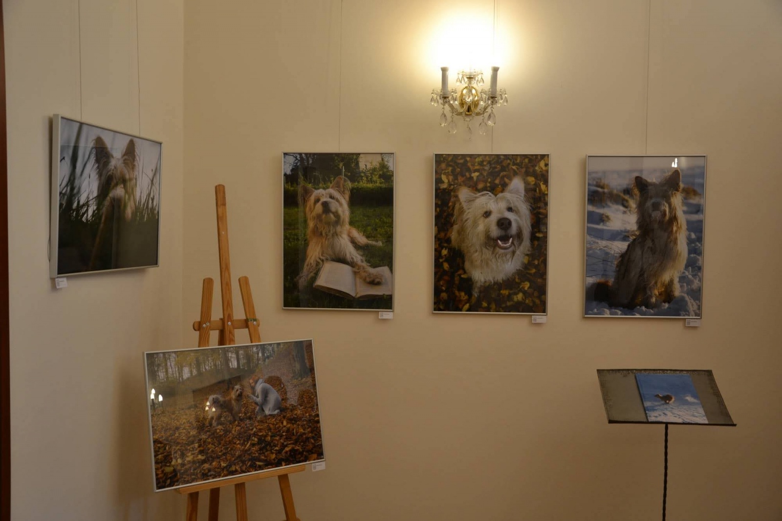 Zdjęcie w galerii na portalu naszraciborz.pl: Dyplomy 2021 - wernisaż wystawy na Zamku Piastowskim za nami wiadomości z regionu