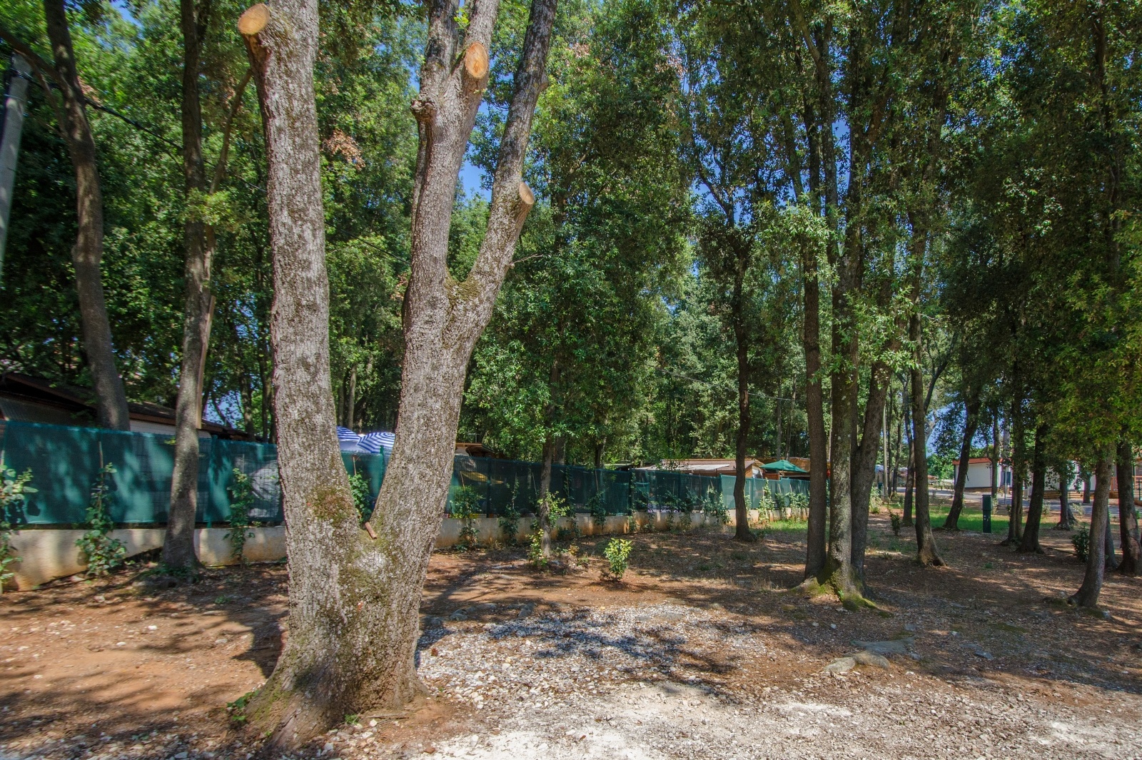 Zdjęcie w galerii na portalu naszraciborz.pl: Nie zapomnij o urlopie. Orinoko zaprasza na wczasy w Chorwacji. Wyjazd bezpośrednio z Raciborza! wiadomości z regionu