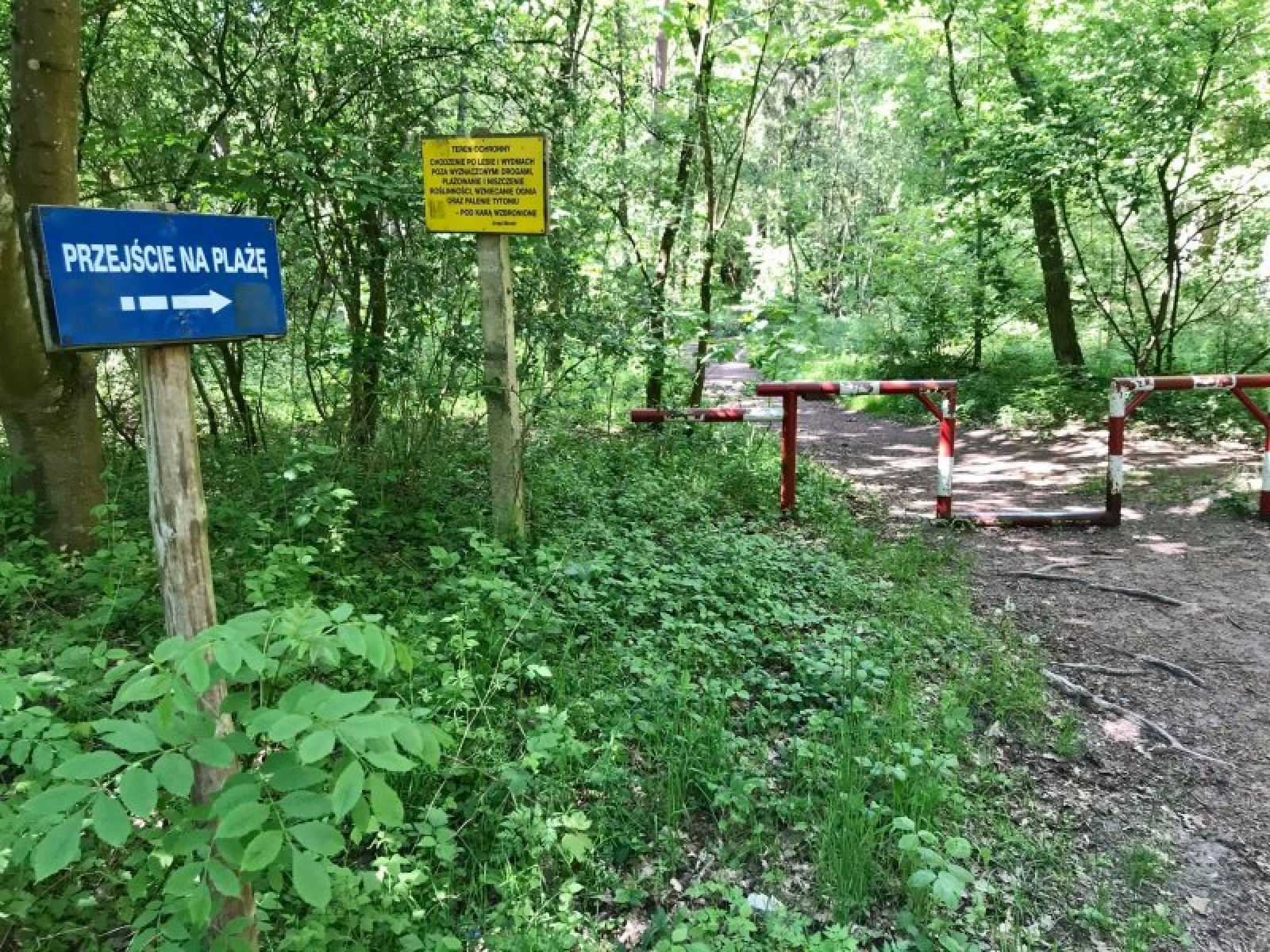 Zdjęcie w galerii na portalu naszraciborz.pl: Pleśna gotowa na przyjęcie raciborskich turystów [FOTO] wiadomości z regionu