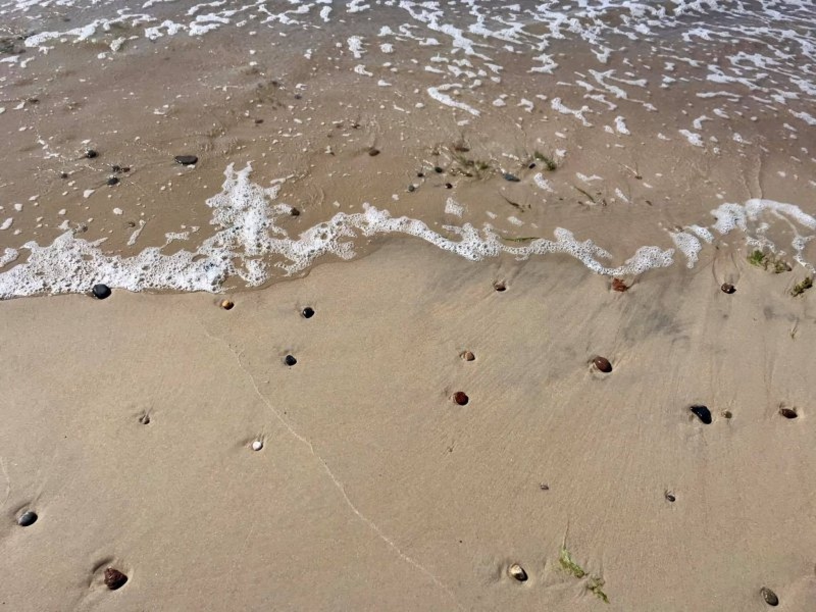 Zdjęcie w galerii na portalu naszraciborz.pl: Pleśna gotowa na przyjęcie raciborskich turystów [FOTO] wiadomości z regionu