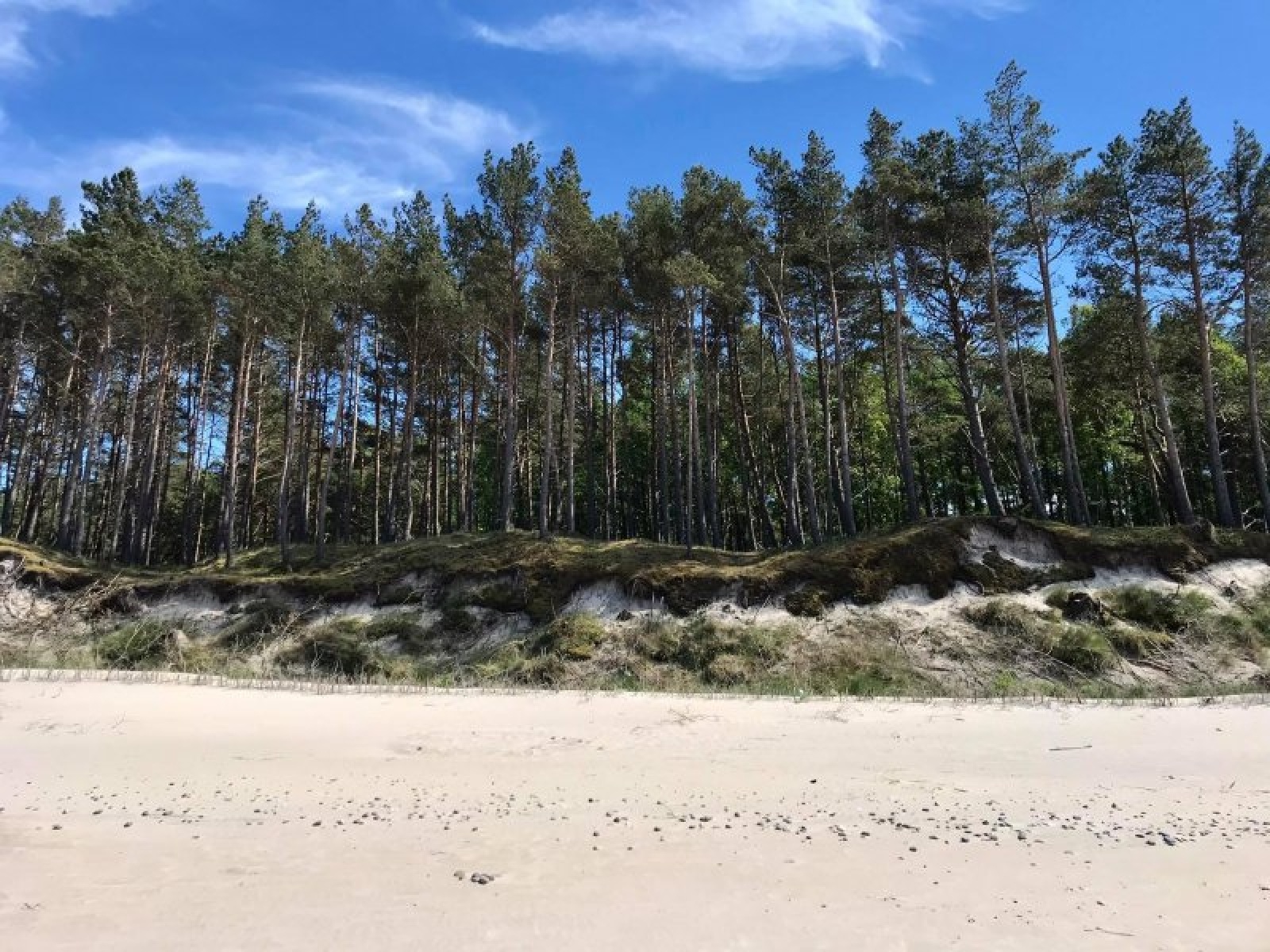 Zdjęcie w galerii na portalu naszraciborz.pl: Pleśna gotowa na przyjęcie raciborskich turystów [FOTO] wiadomości z regionu